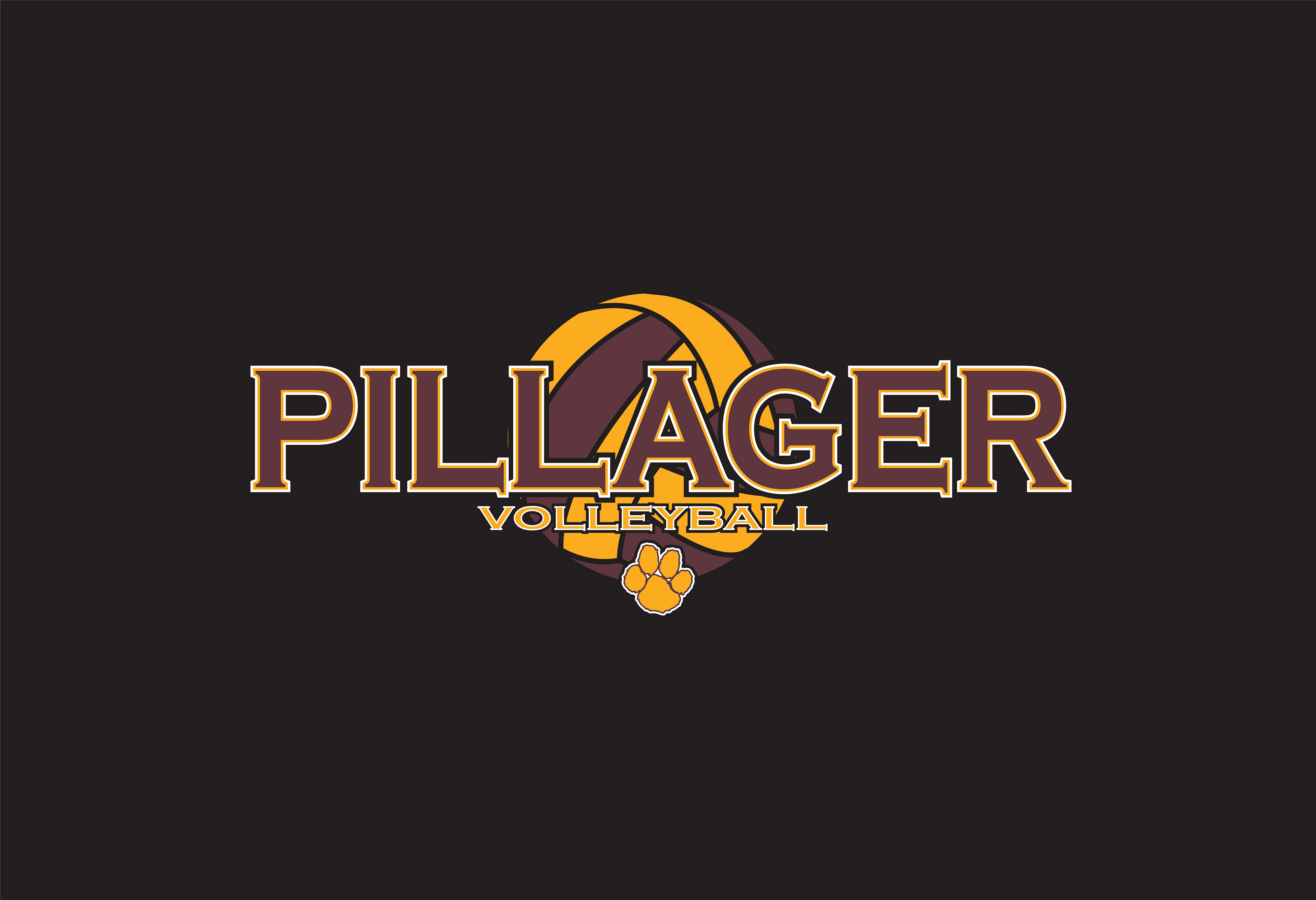 VOLLEY_094