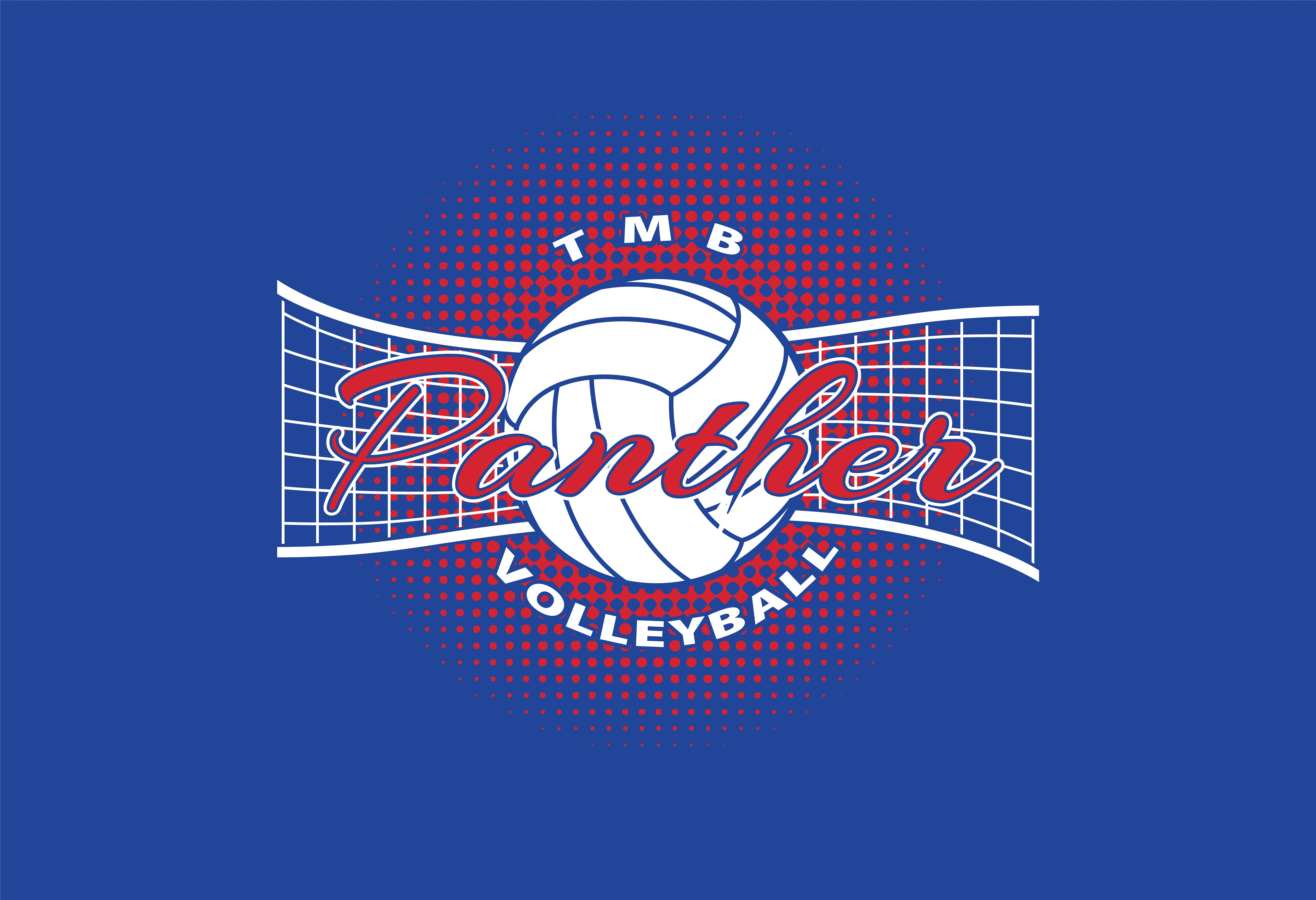 VOLLEY_222