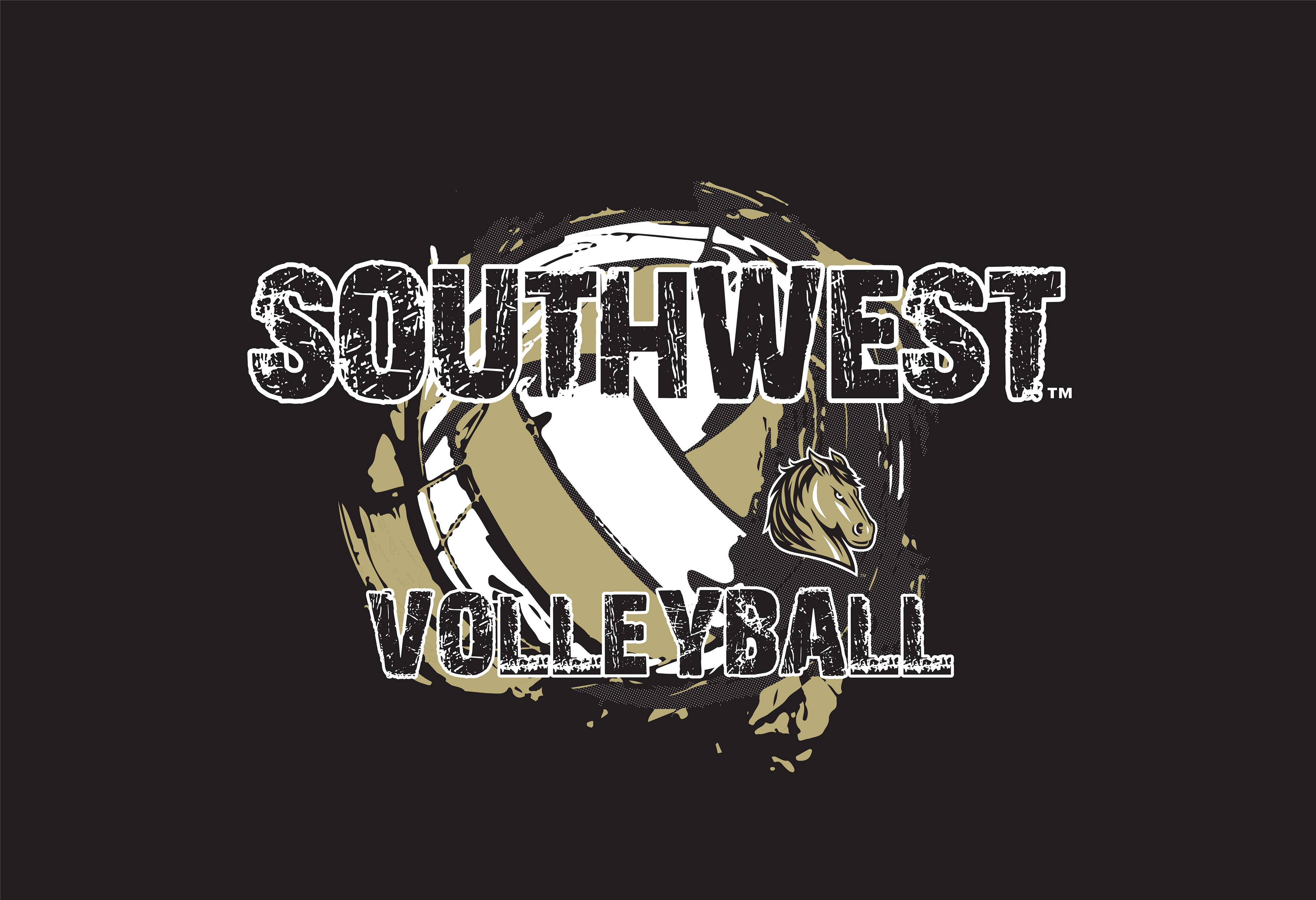 VOLLEY_032