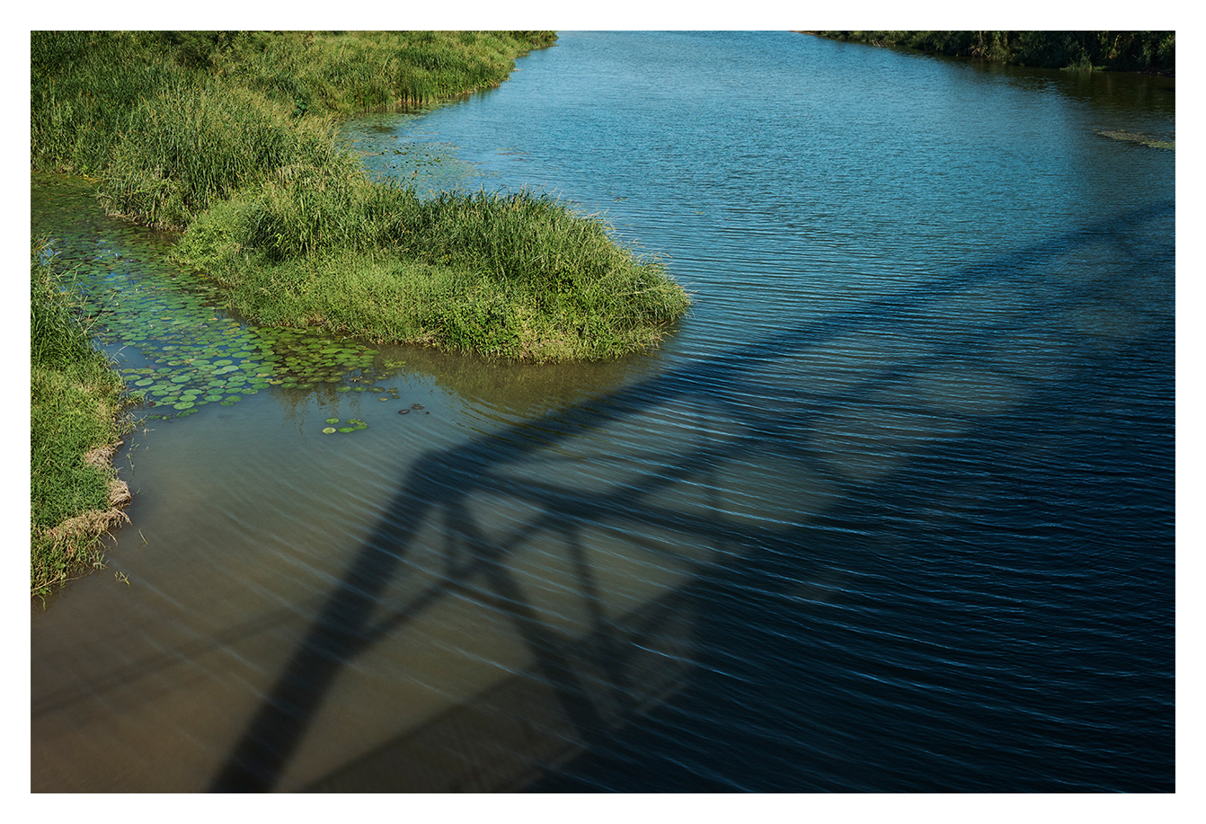 Wag Water Shadow