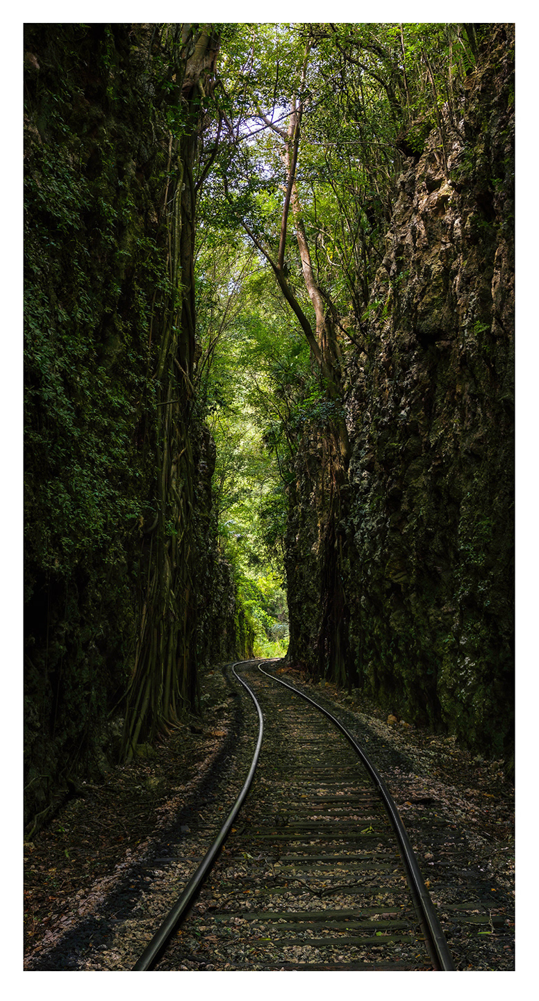 Enchanted Railway