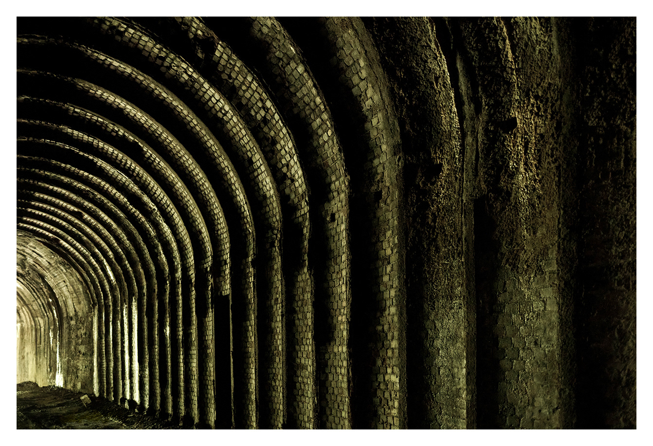 RIB VAULT