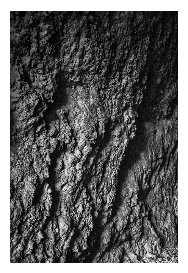 TUNEL WALL