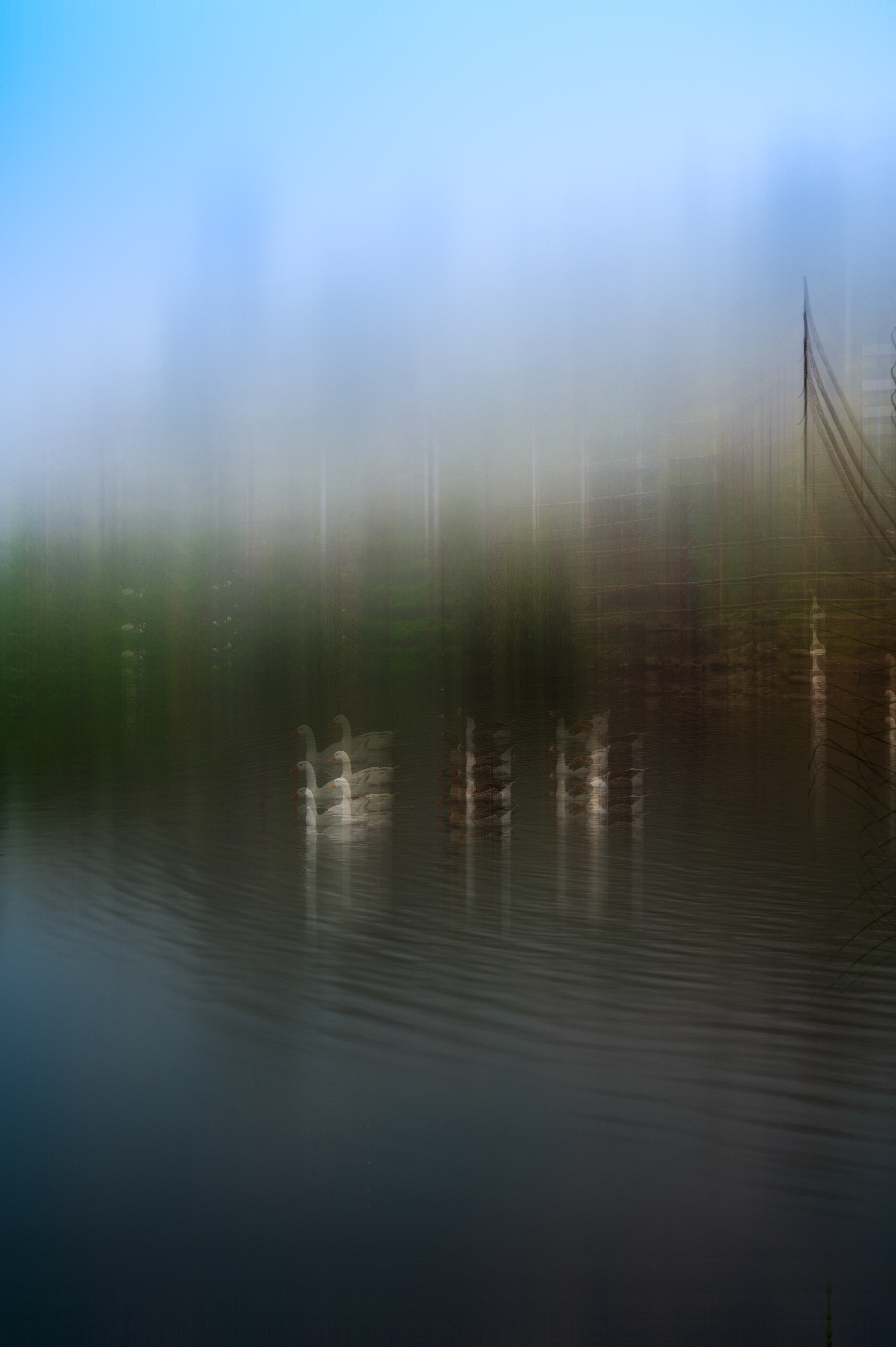 DV26 34x50 cm