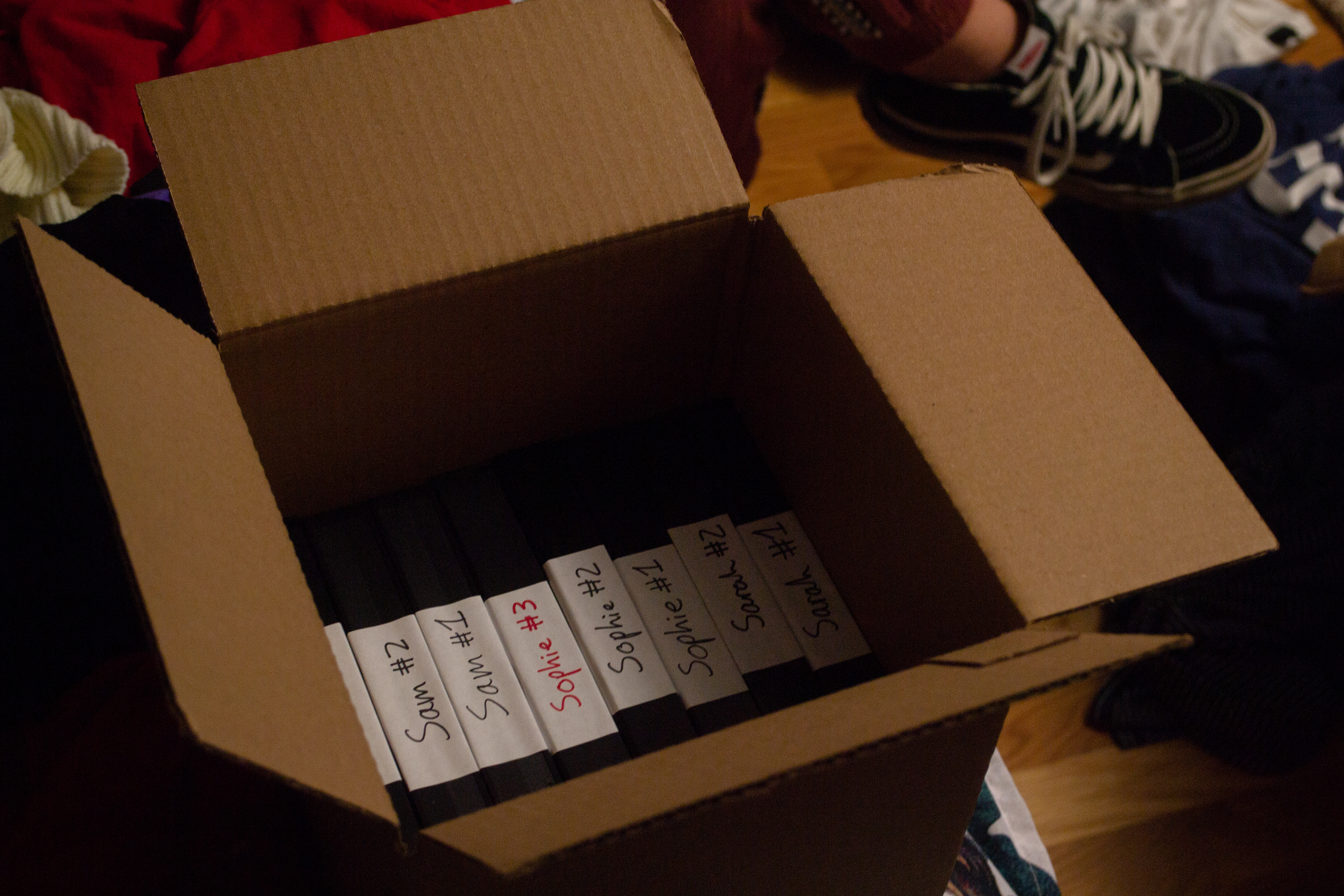 "Sarah #3" - Director