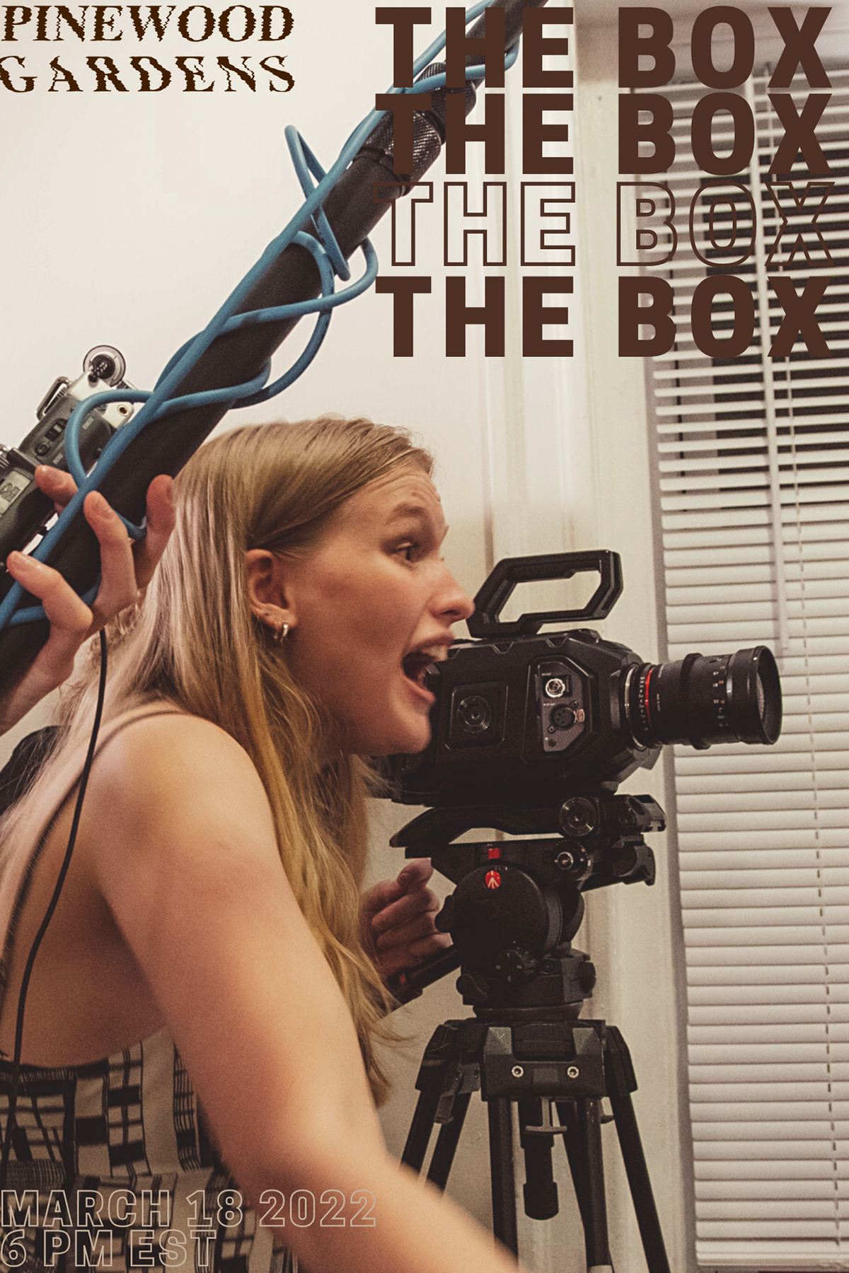 "The Box" poster