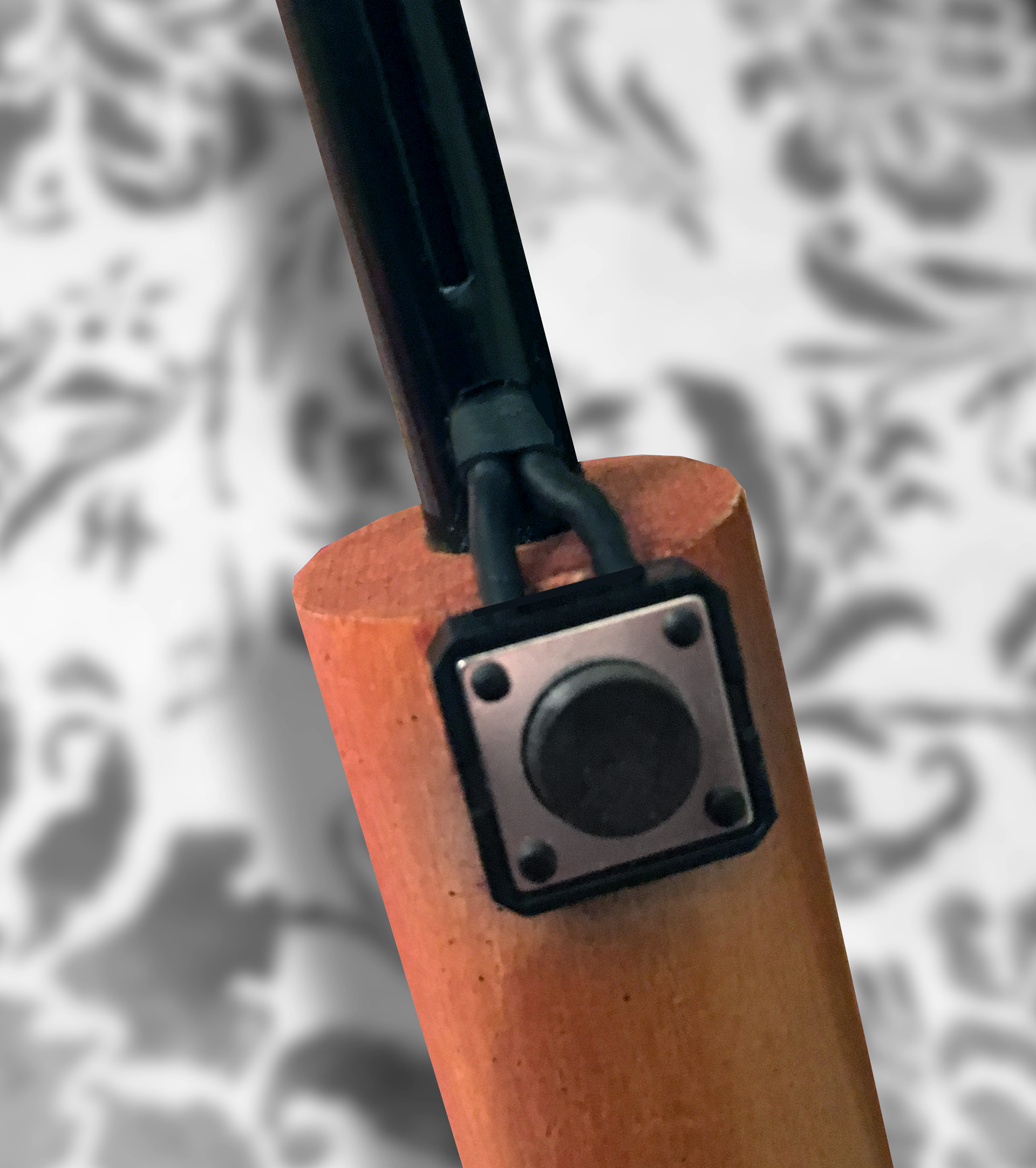 Pushing this button plays the Beatles song "Rain".