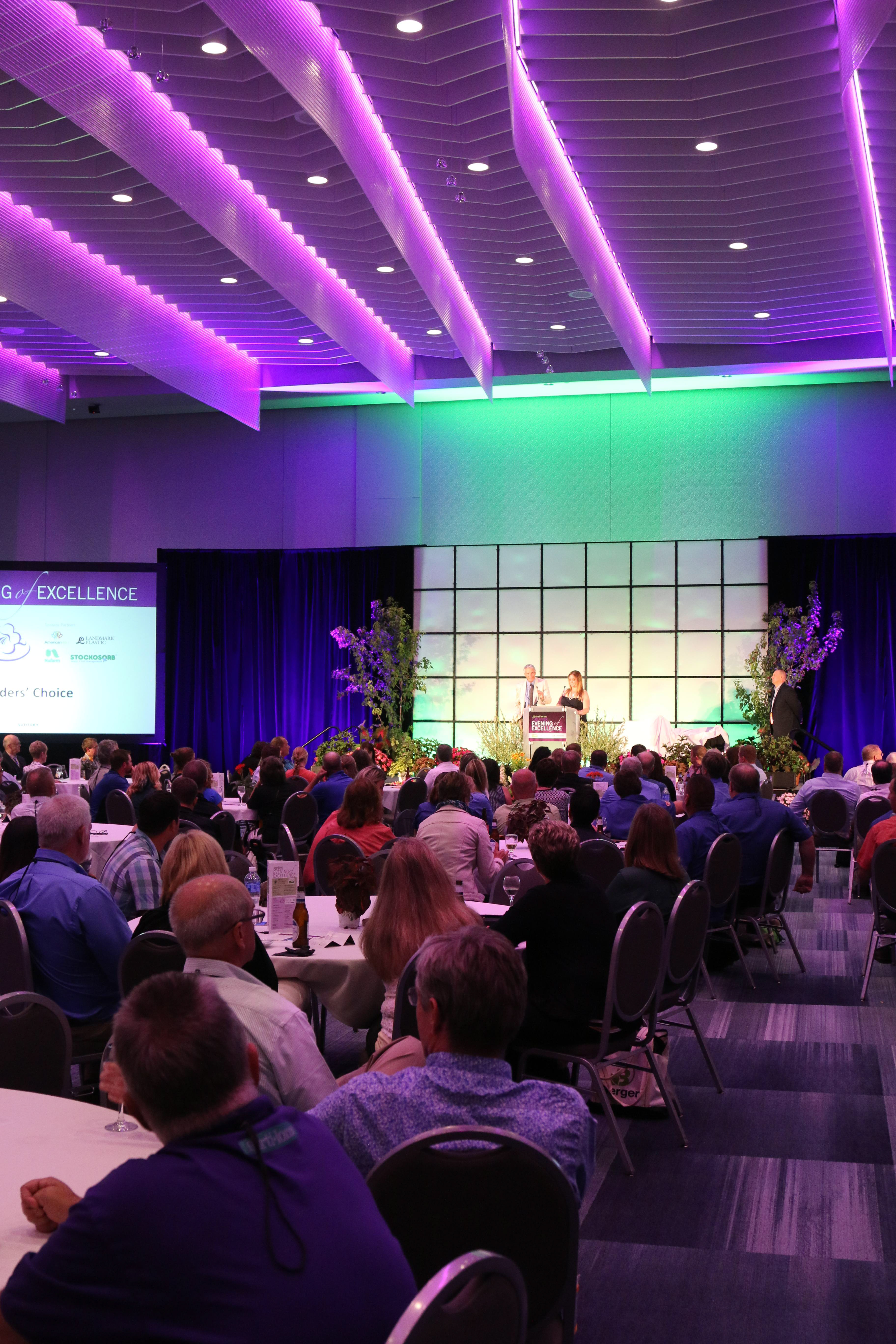 Event Stage Design & Lighting