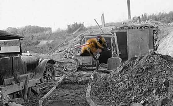 "Bee Mine"