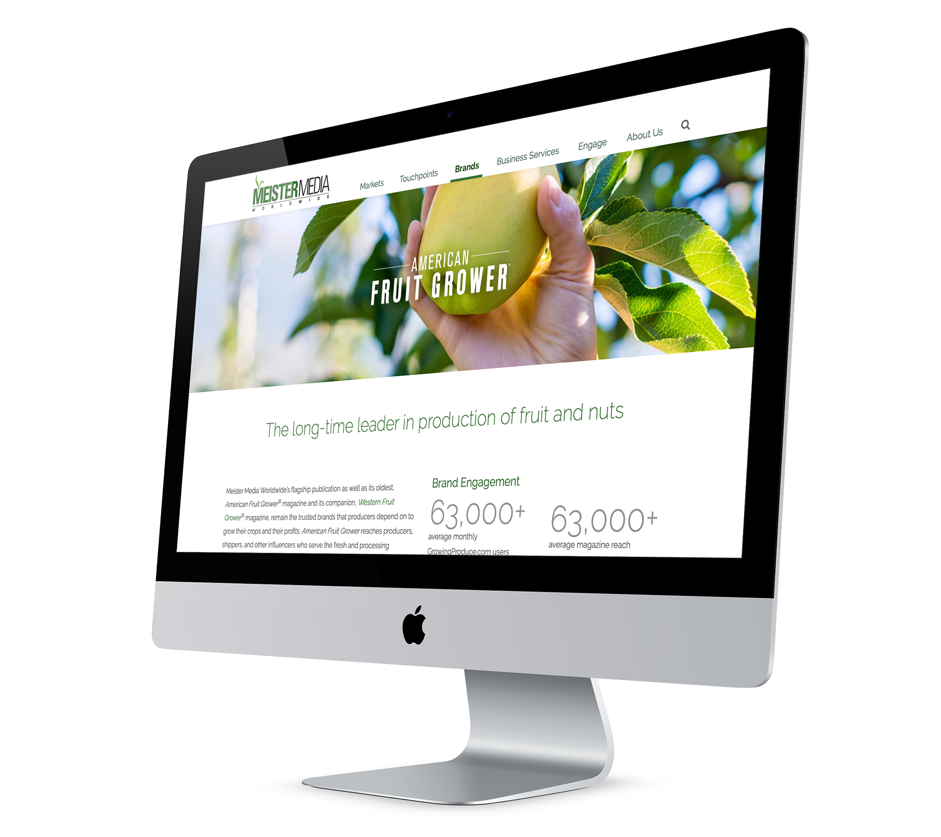 MeisterMedia.com/Brands