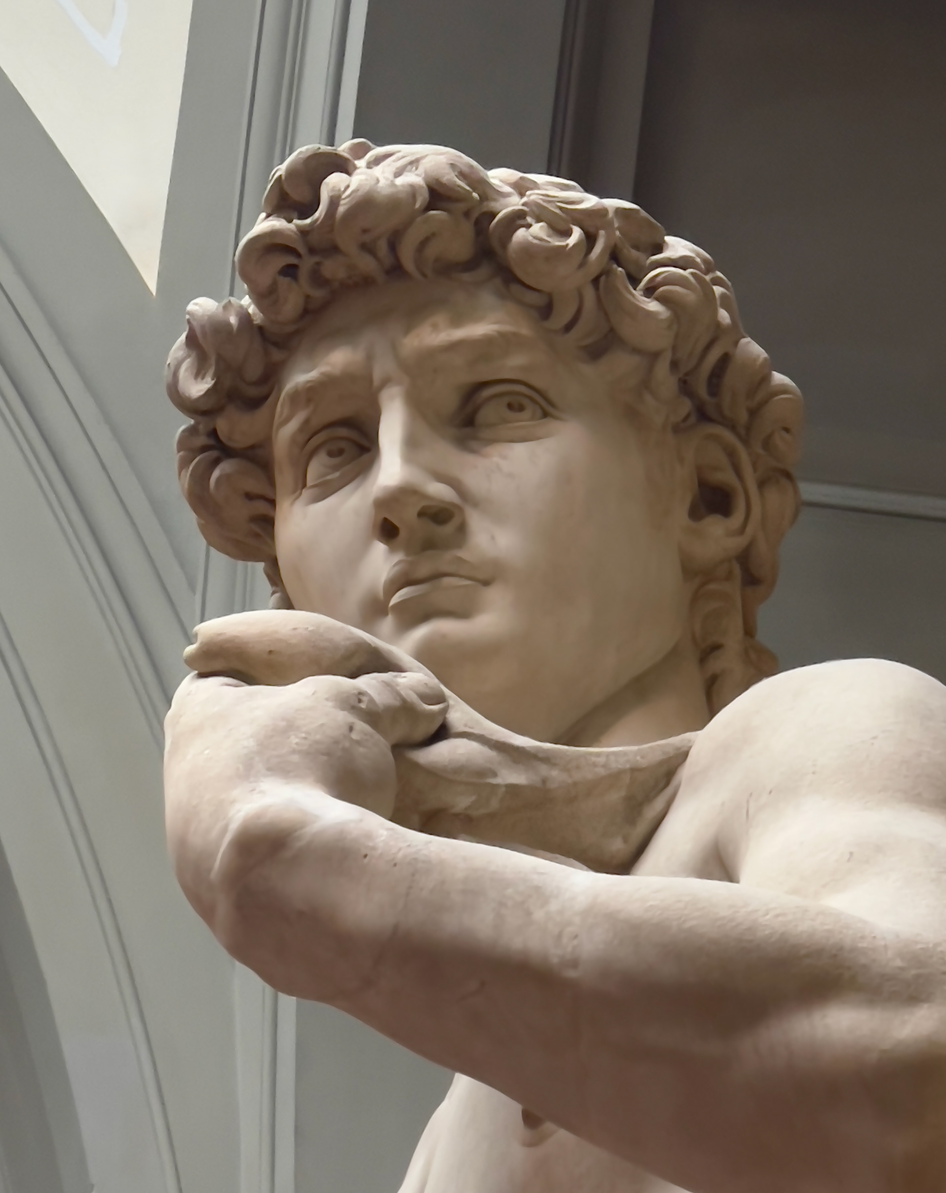 Michelangelo's David