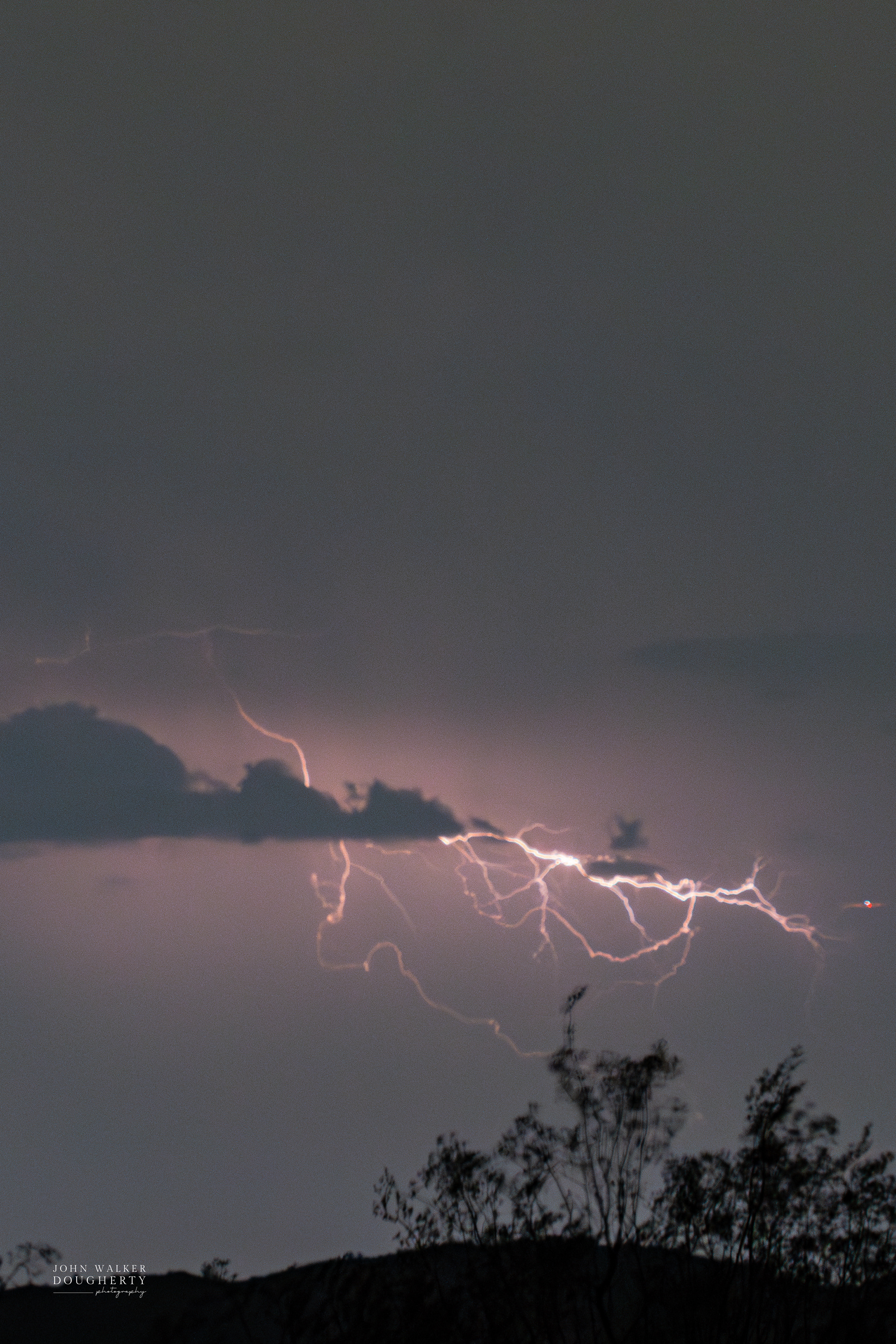 Shot on: Sony A7RIII