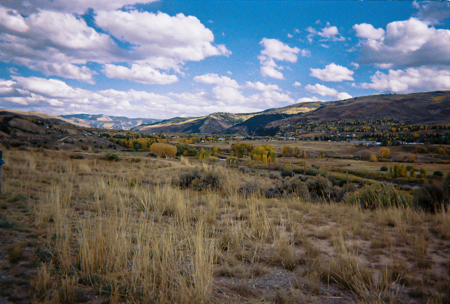 Shot On: Kodak Disposable 