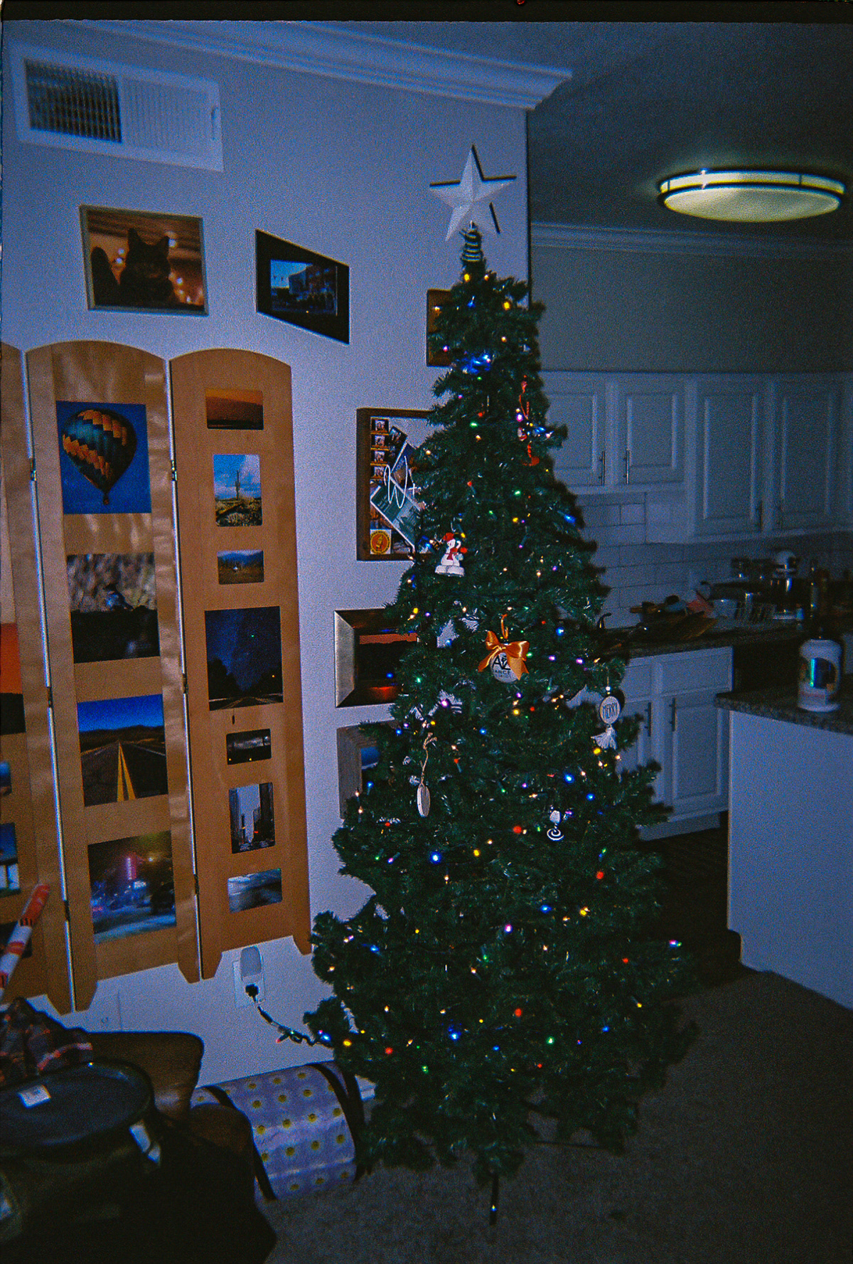 Shot On: Kodak Disposable 