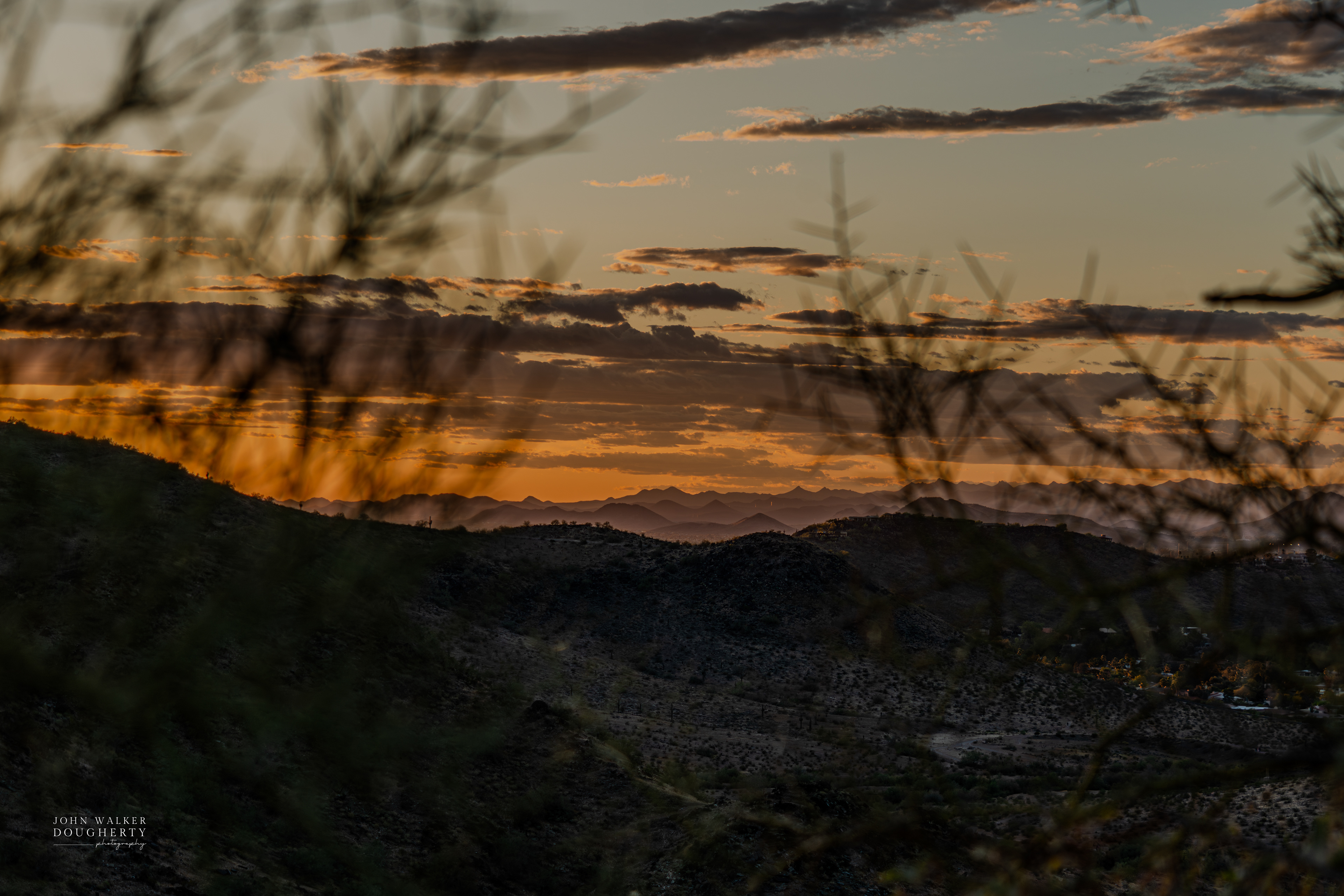 Shot On: Sony A7RIII