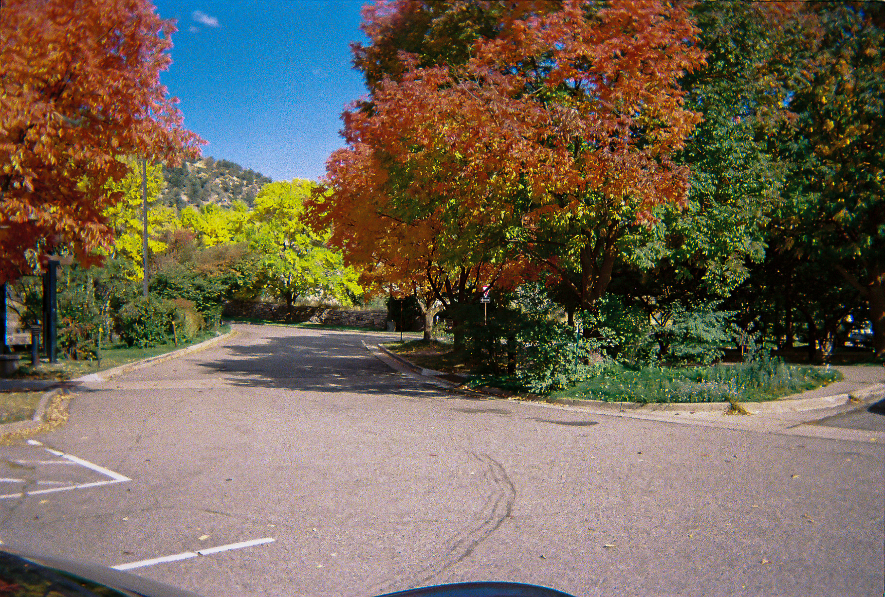 Shot On: Kodak Disposable 