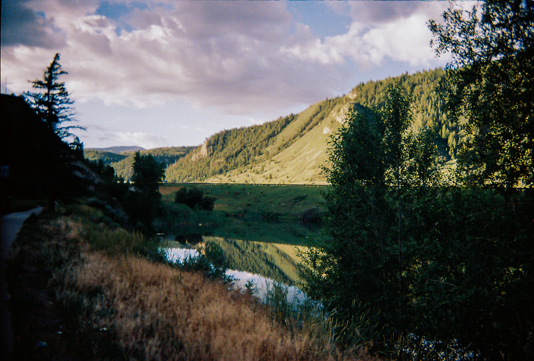 Shot On: Kodak Disposable 