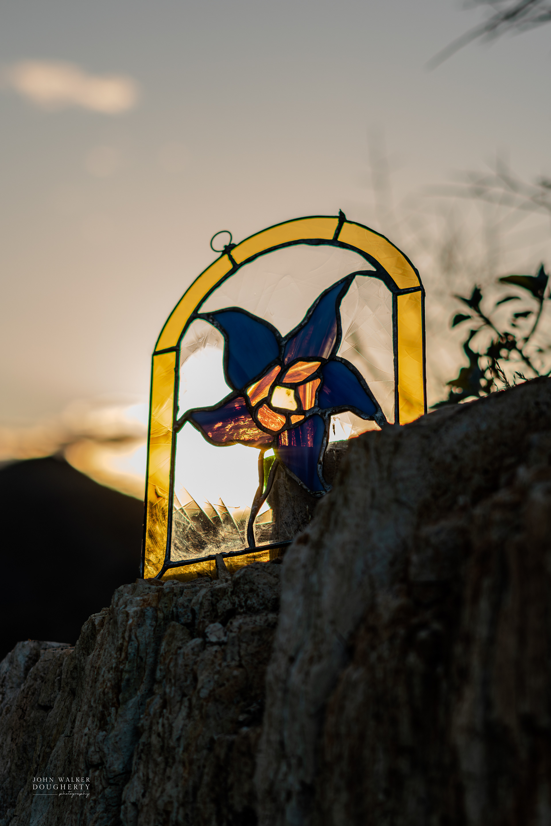 Shot On: Sony A7RIII