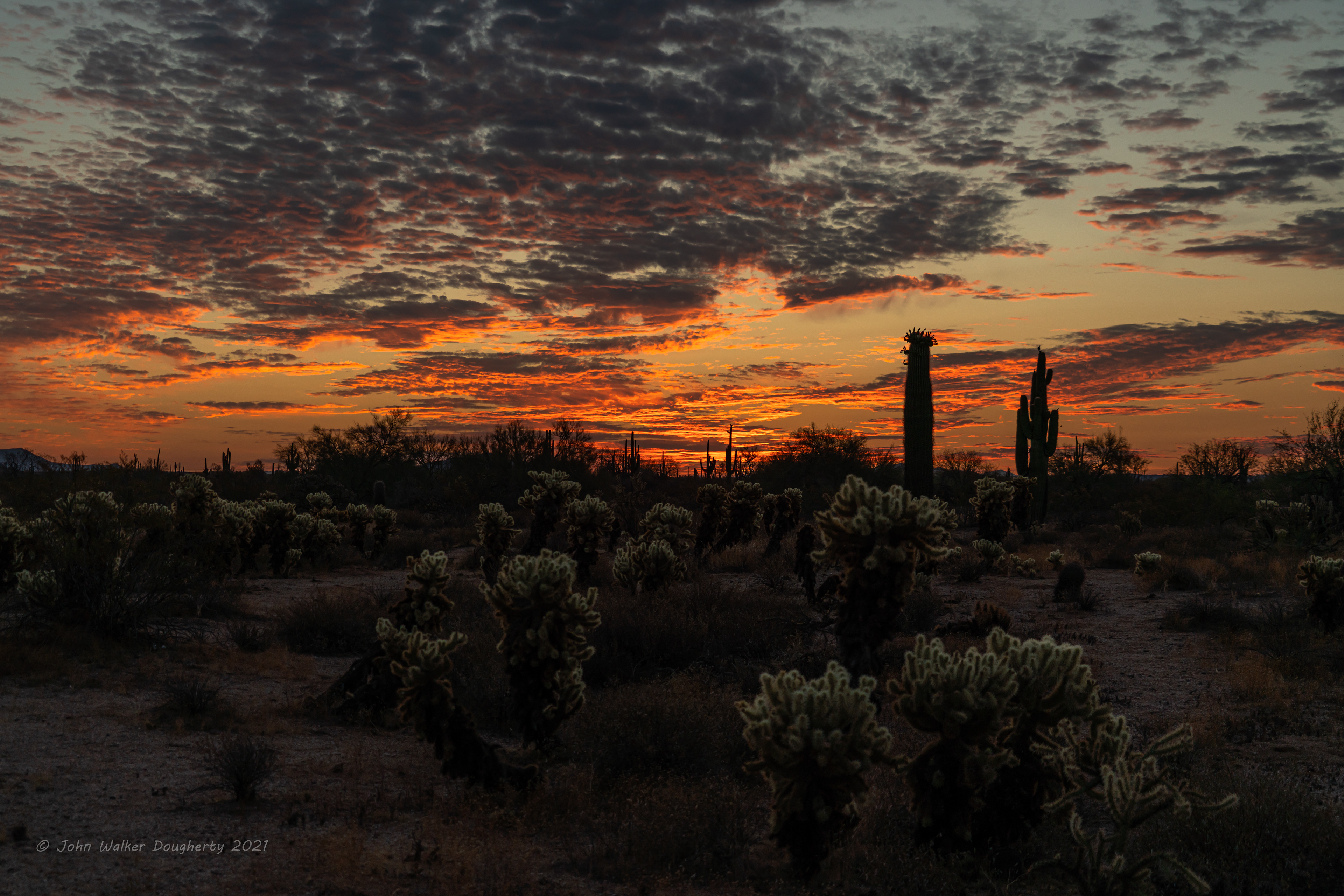 Shot on: Sony A7RIII