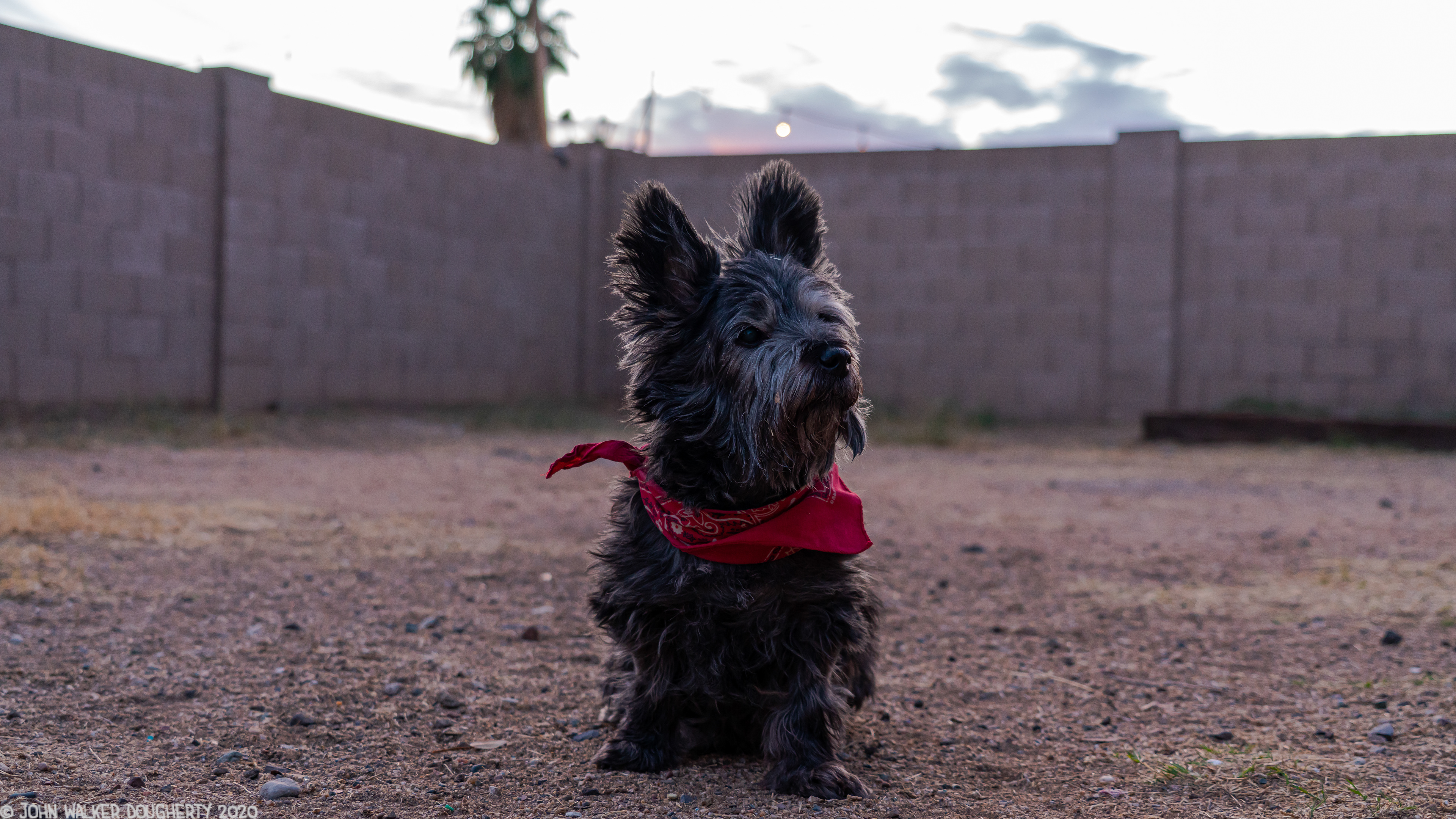 Shot on: Sony A7RIII