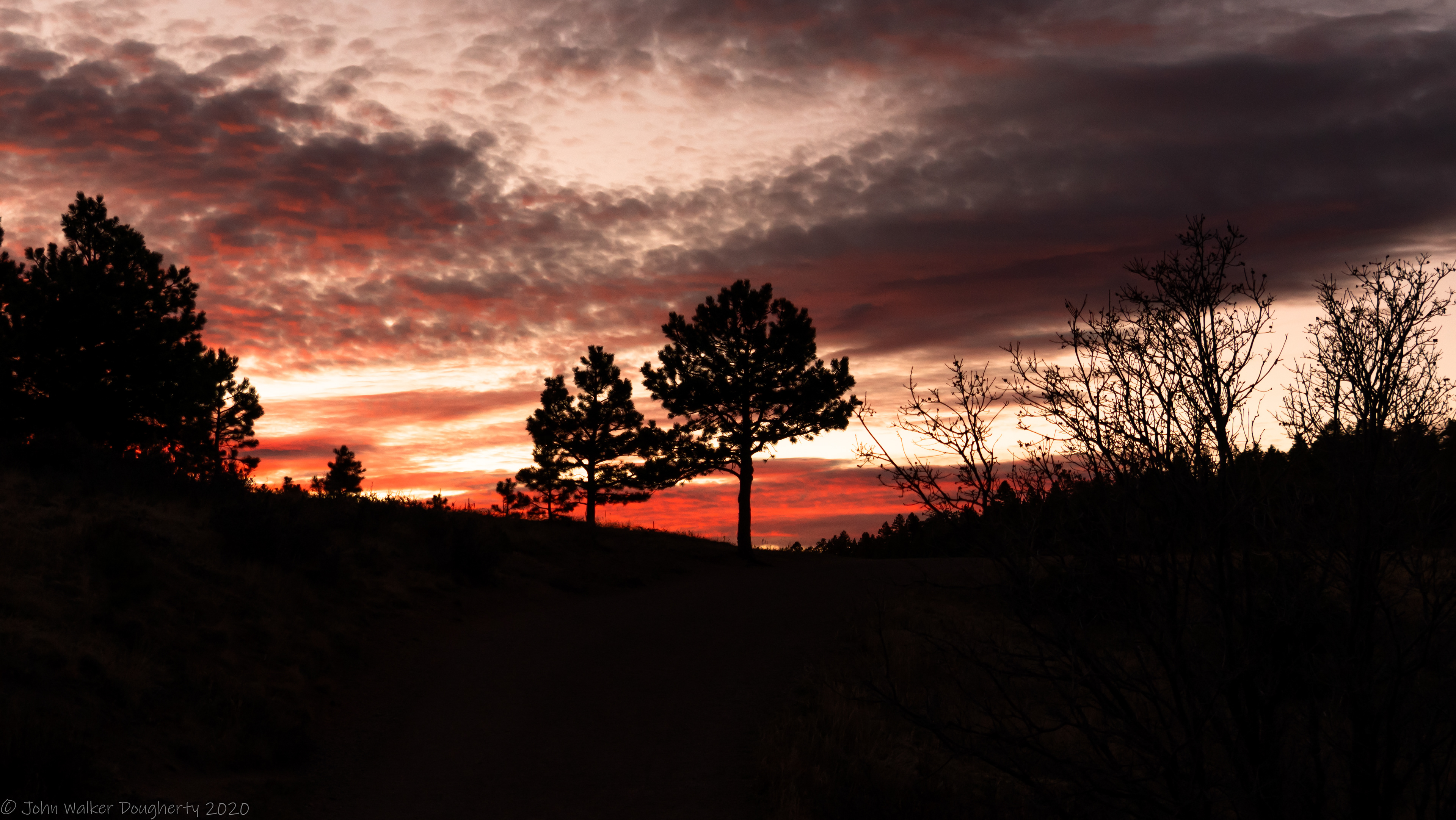 Shot on: Sony A7RIII