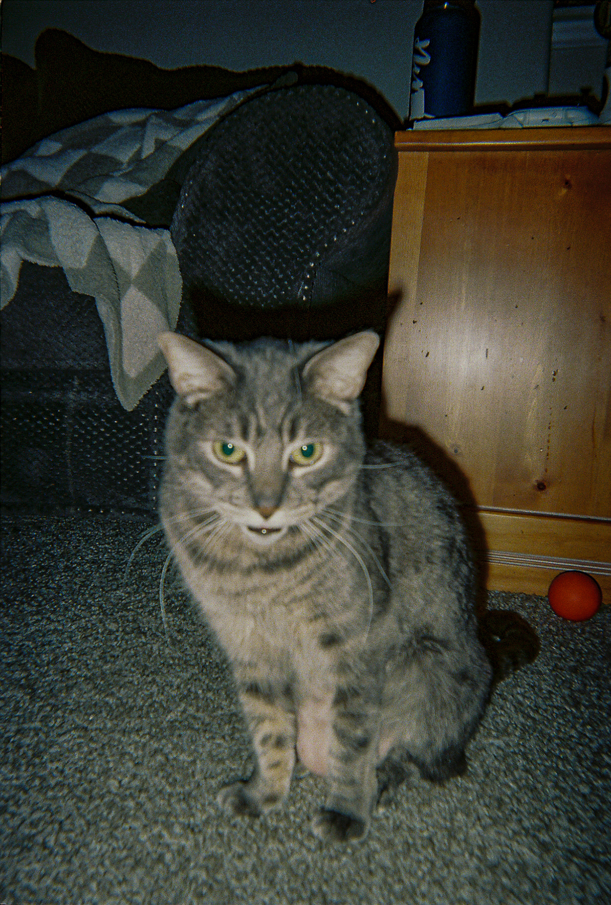 Shot On: Kodak Disposable 