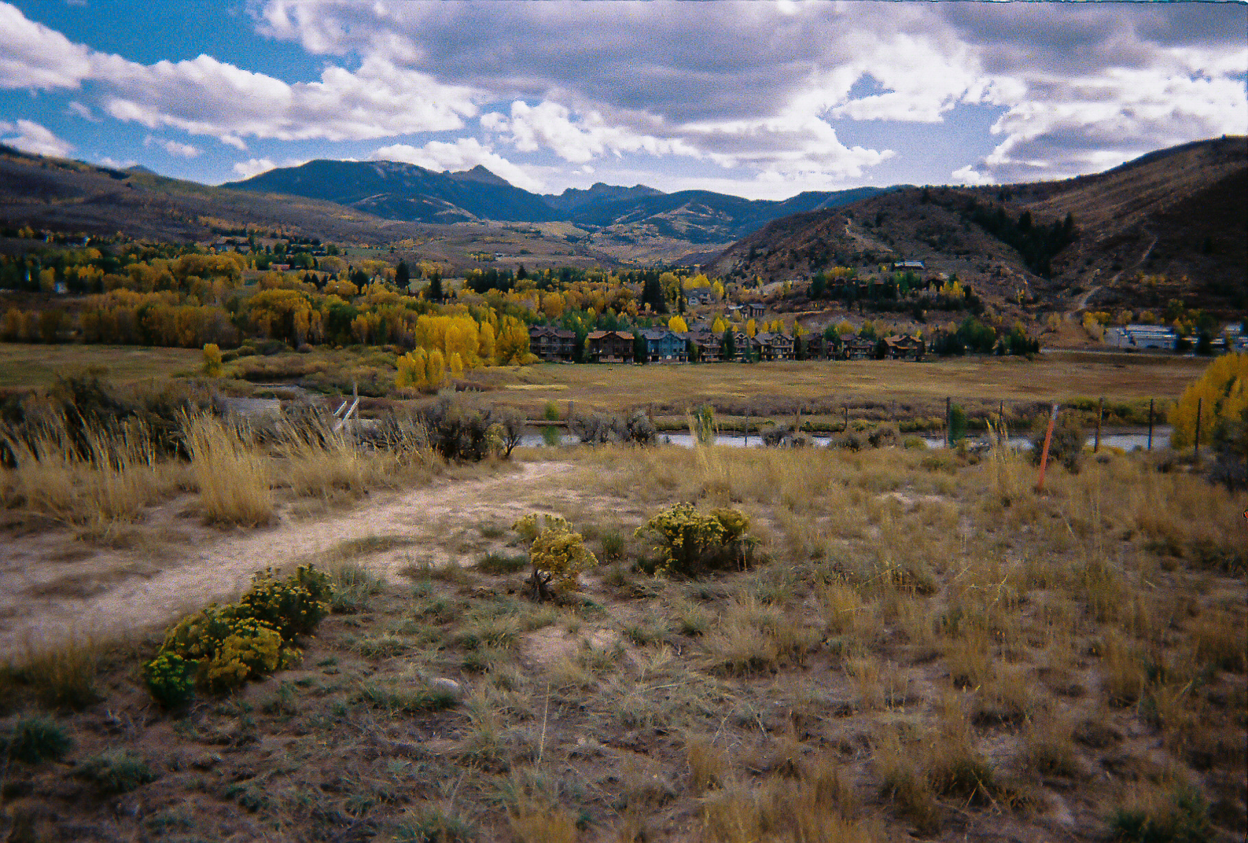 Shot On: Kodak Disposable 