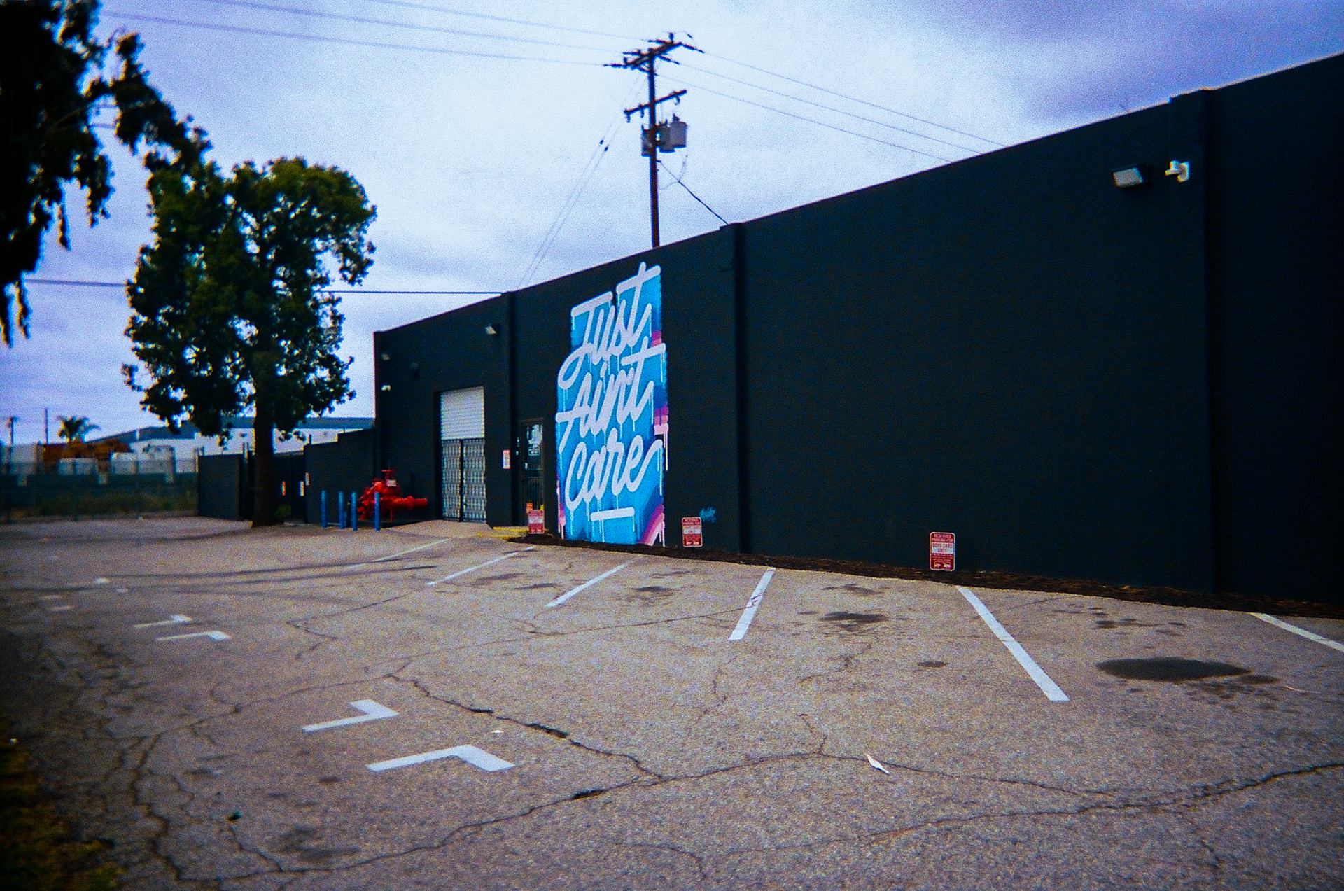 Shot On: Kodak Disposable 