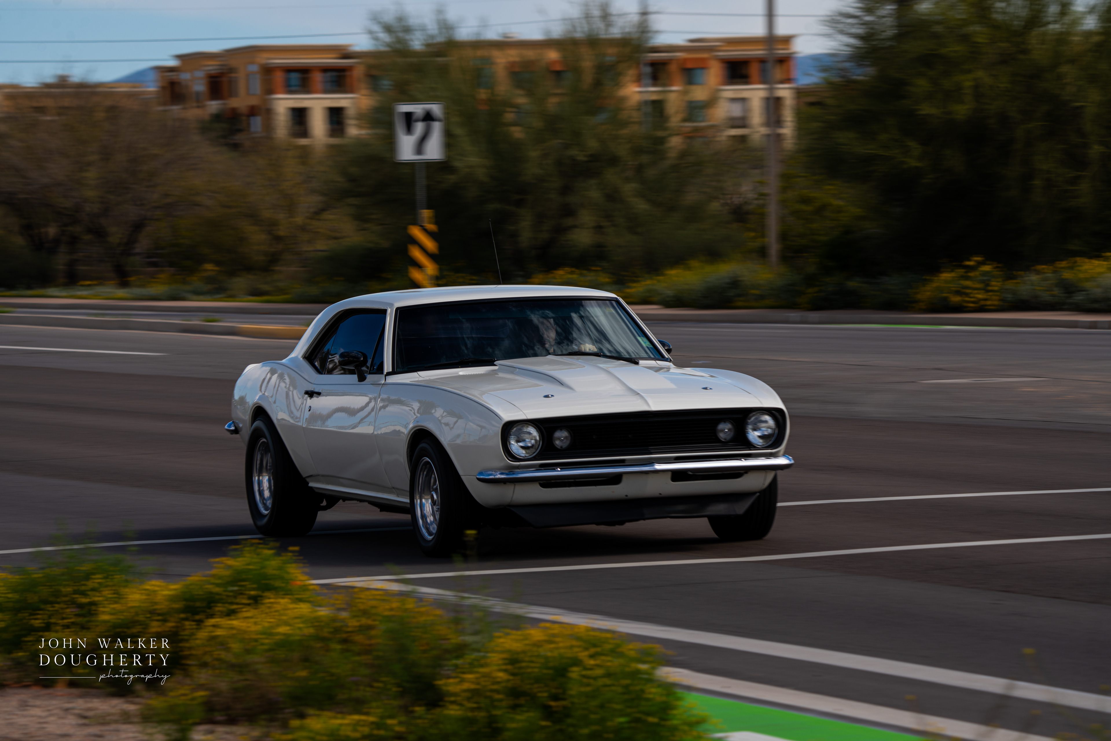 Shot on: Sony A7RIII