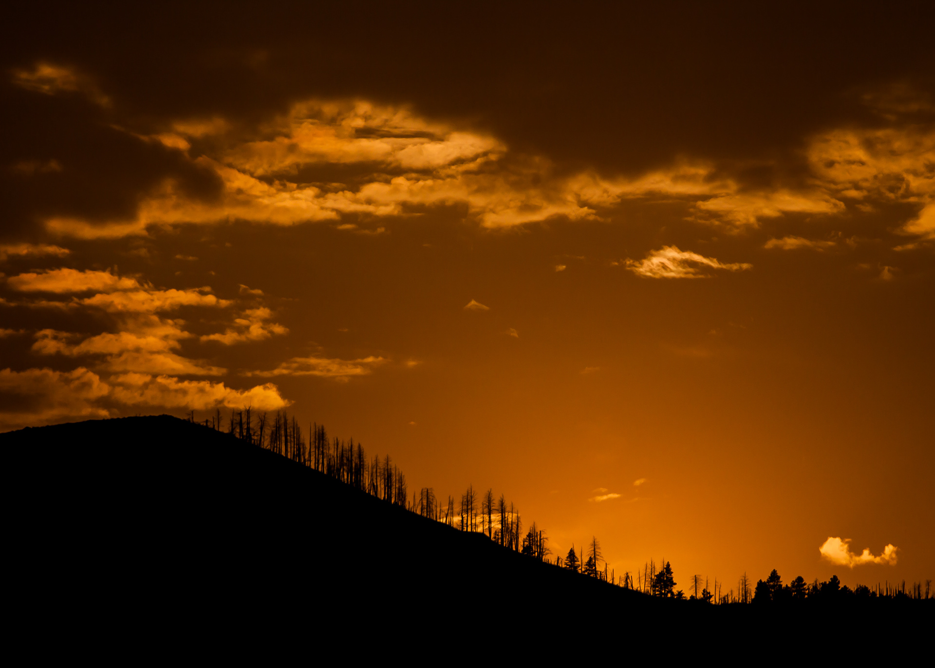 Shot on: Canon 50D