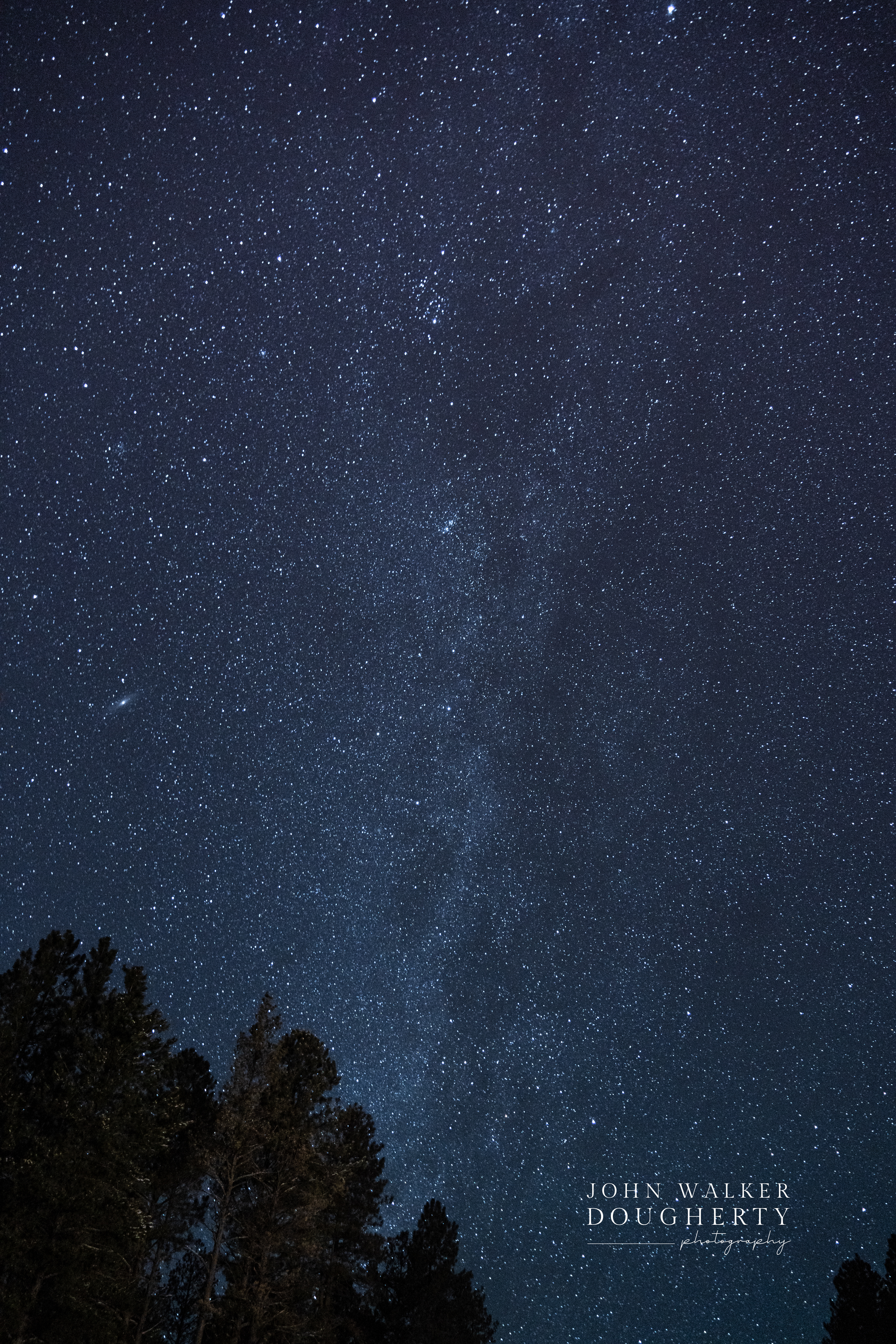 Shot On: Sony A7RIII
