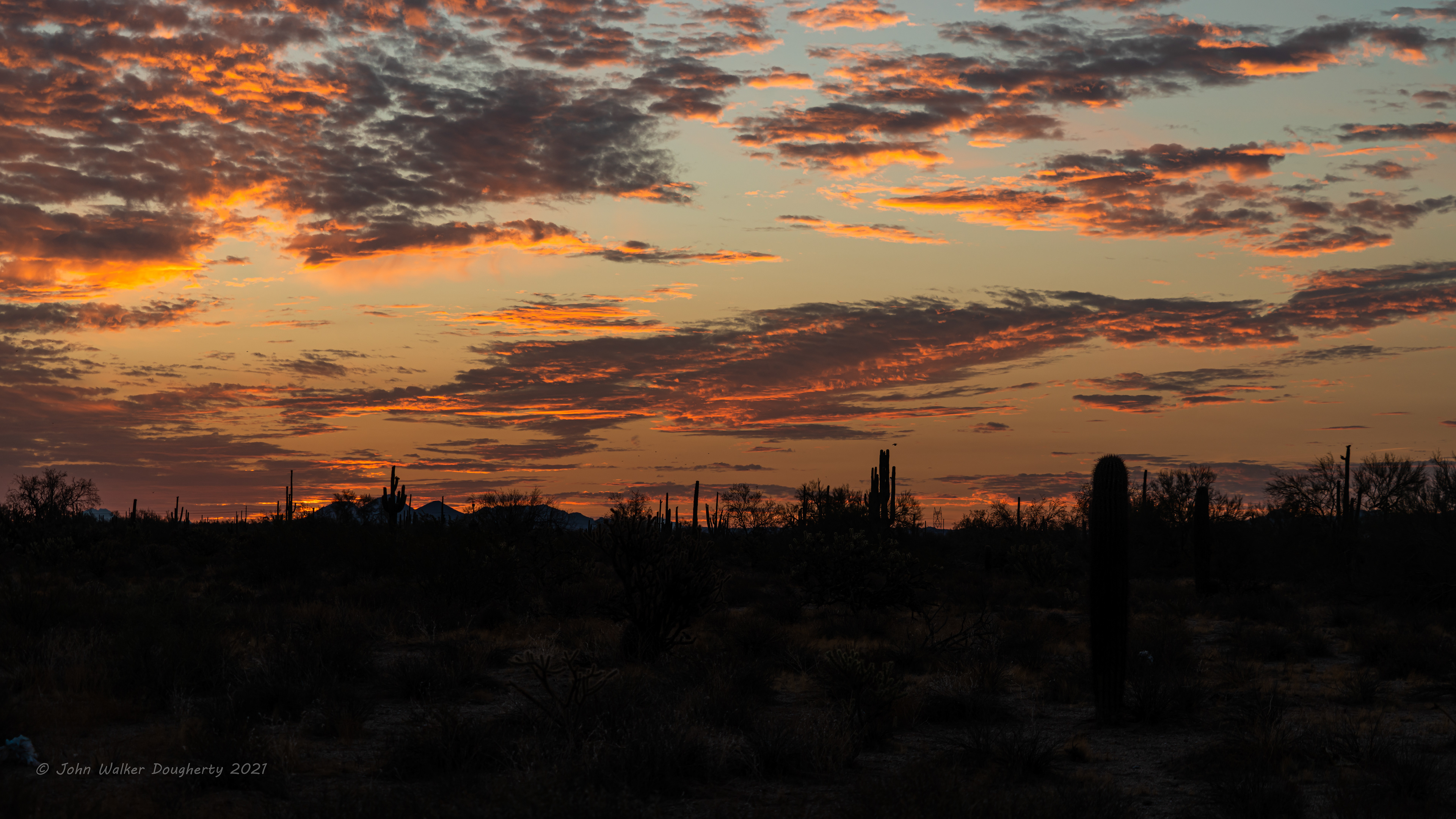 Shot on: Sony A7RIII