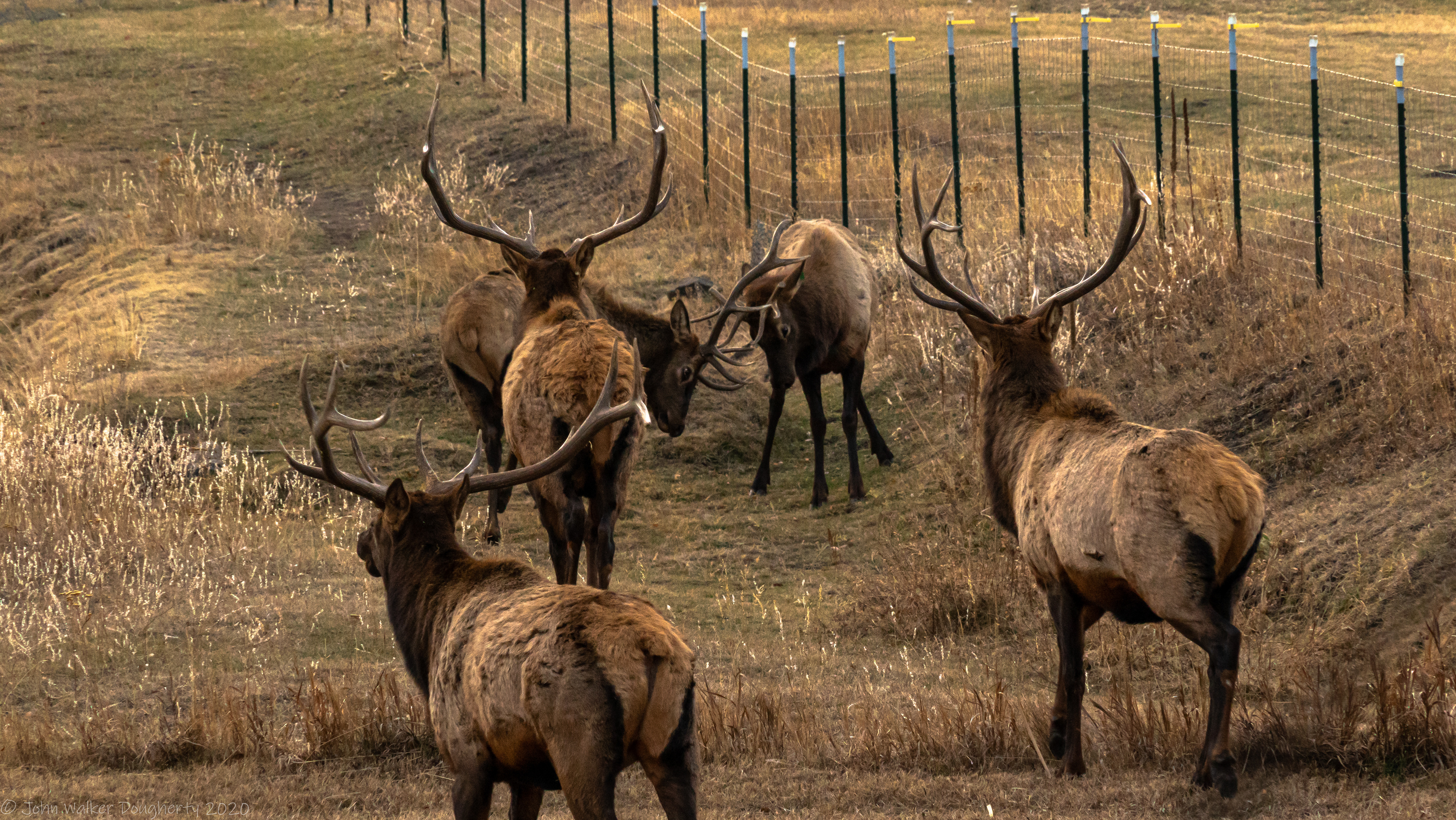 Shot on: Sony A7RIII