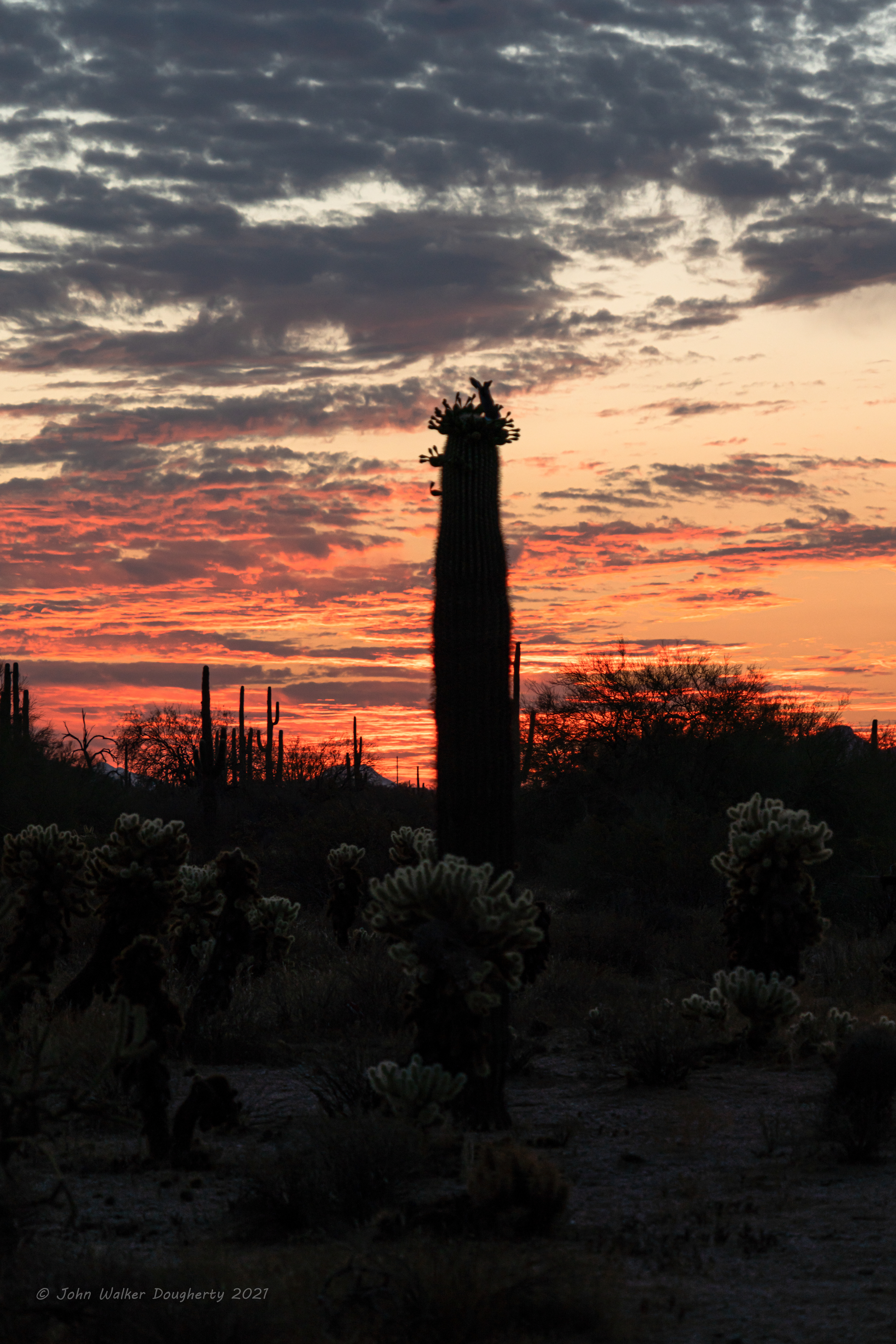 Shot on: Sony A7RIII