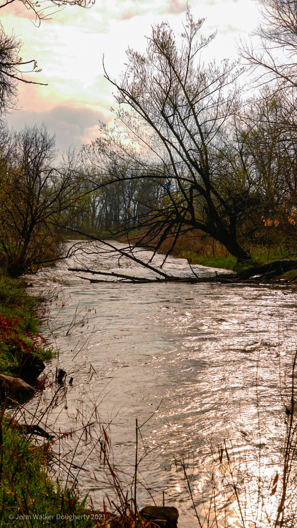 Shot on: Sony A7RIII