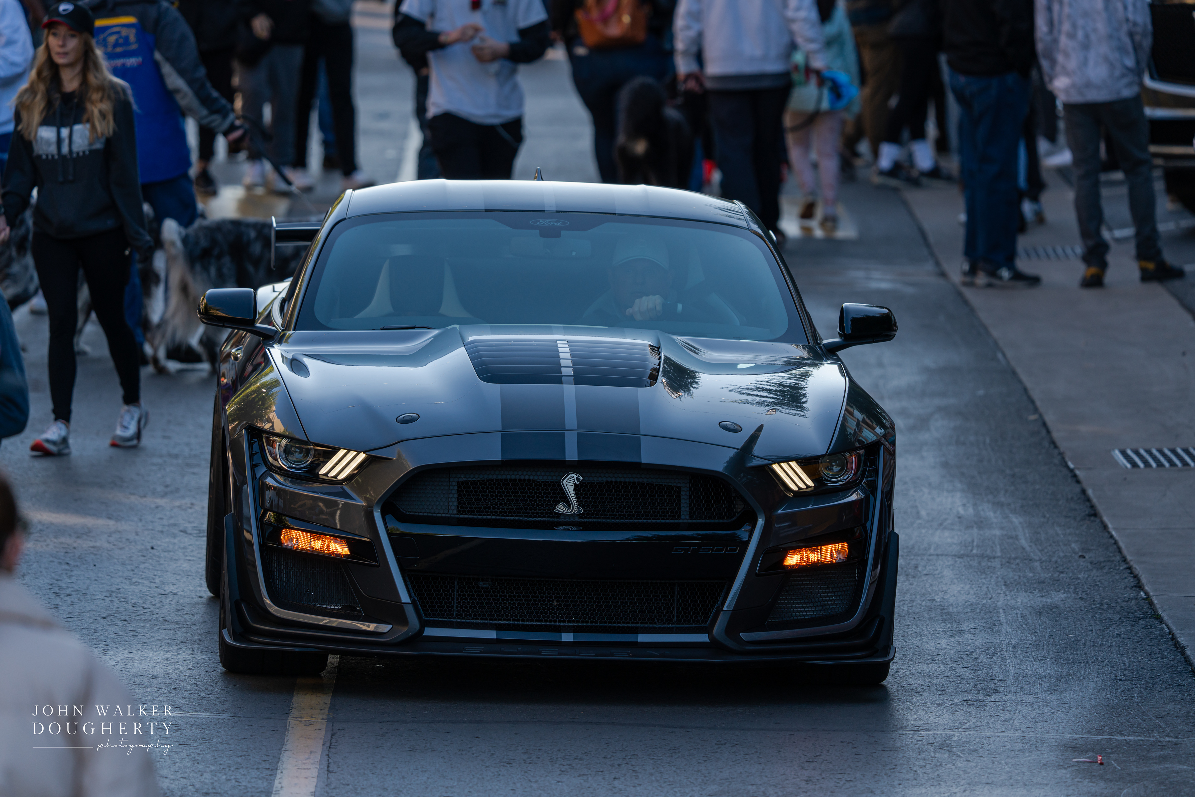 Shot On: Sony A7RIII