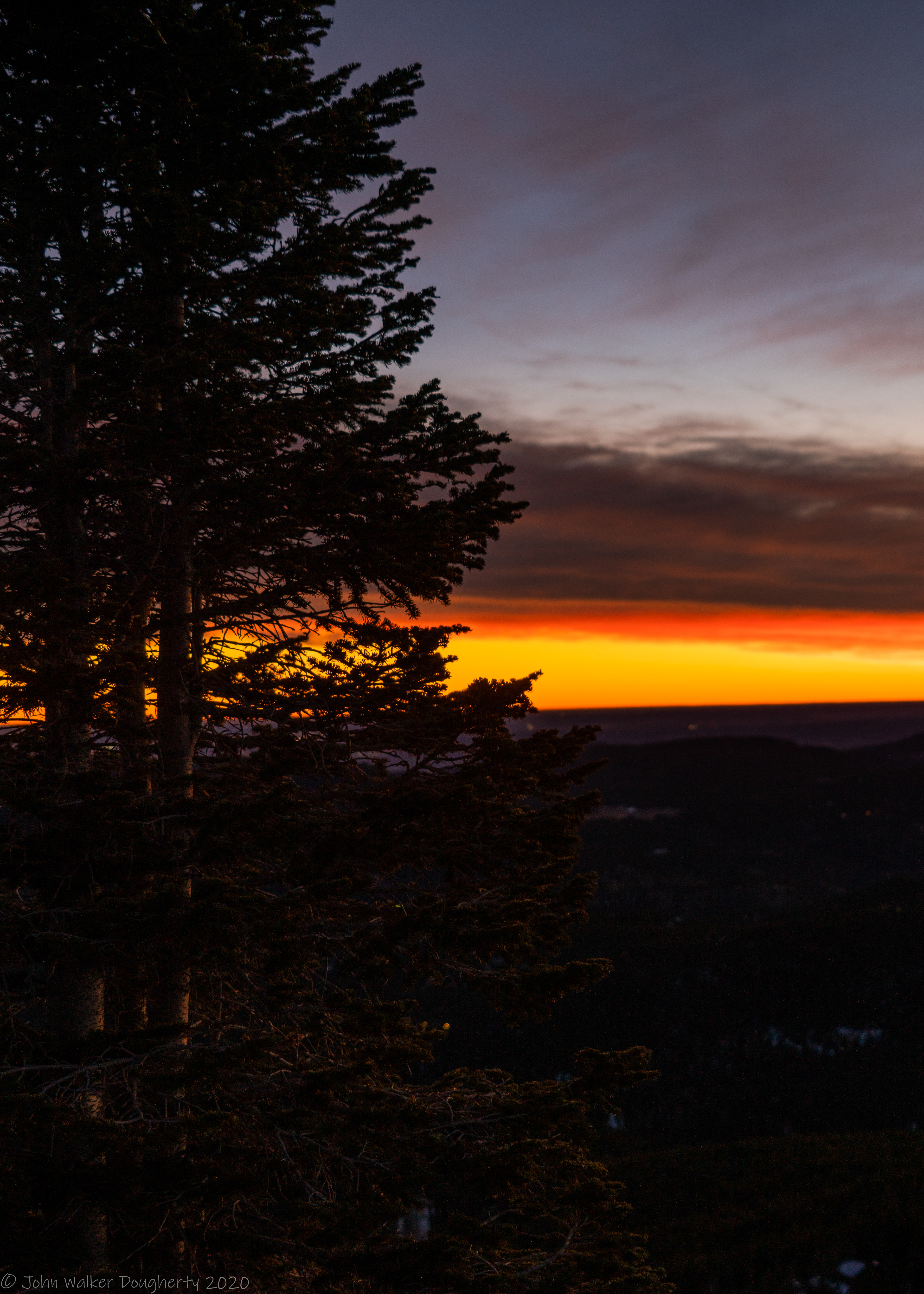 Shot on: Sony A7RIII