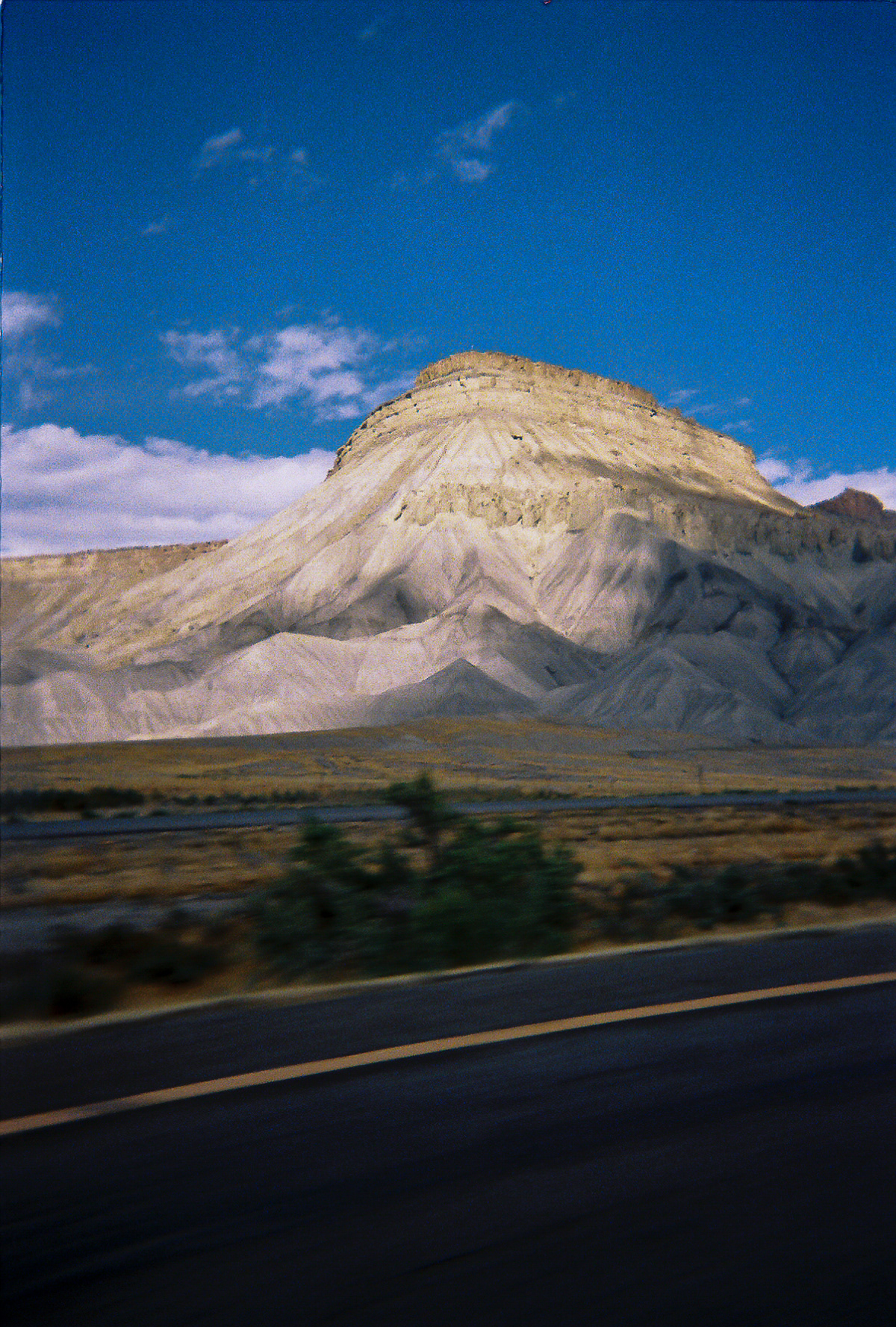 Shot On: Kodak Disposable 