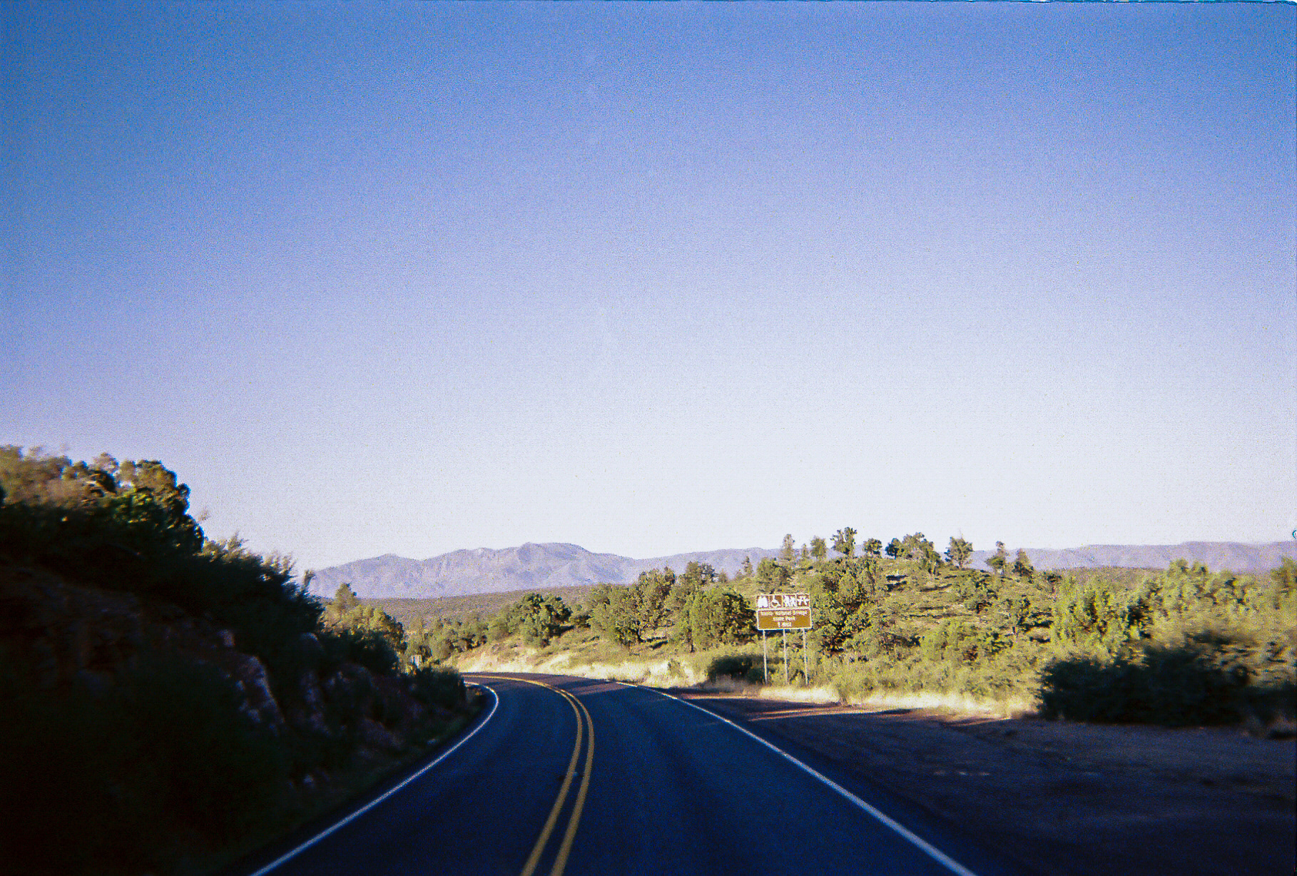 Shot On: Kodak Disposable 