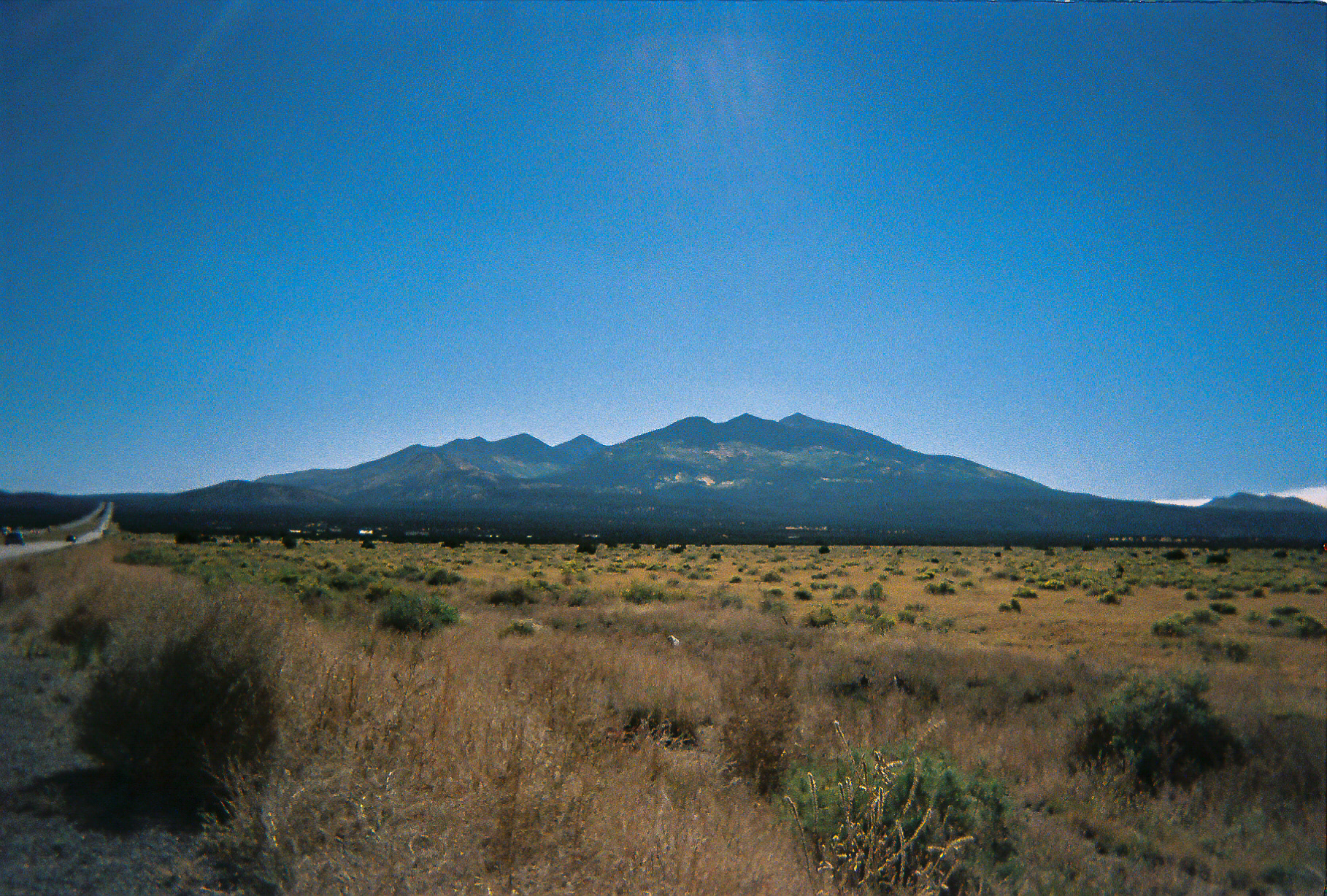 Shot On: Kodak Disposable 