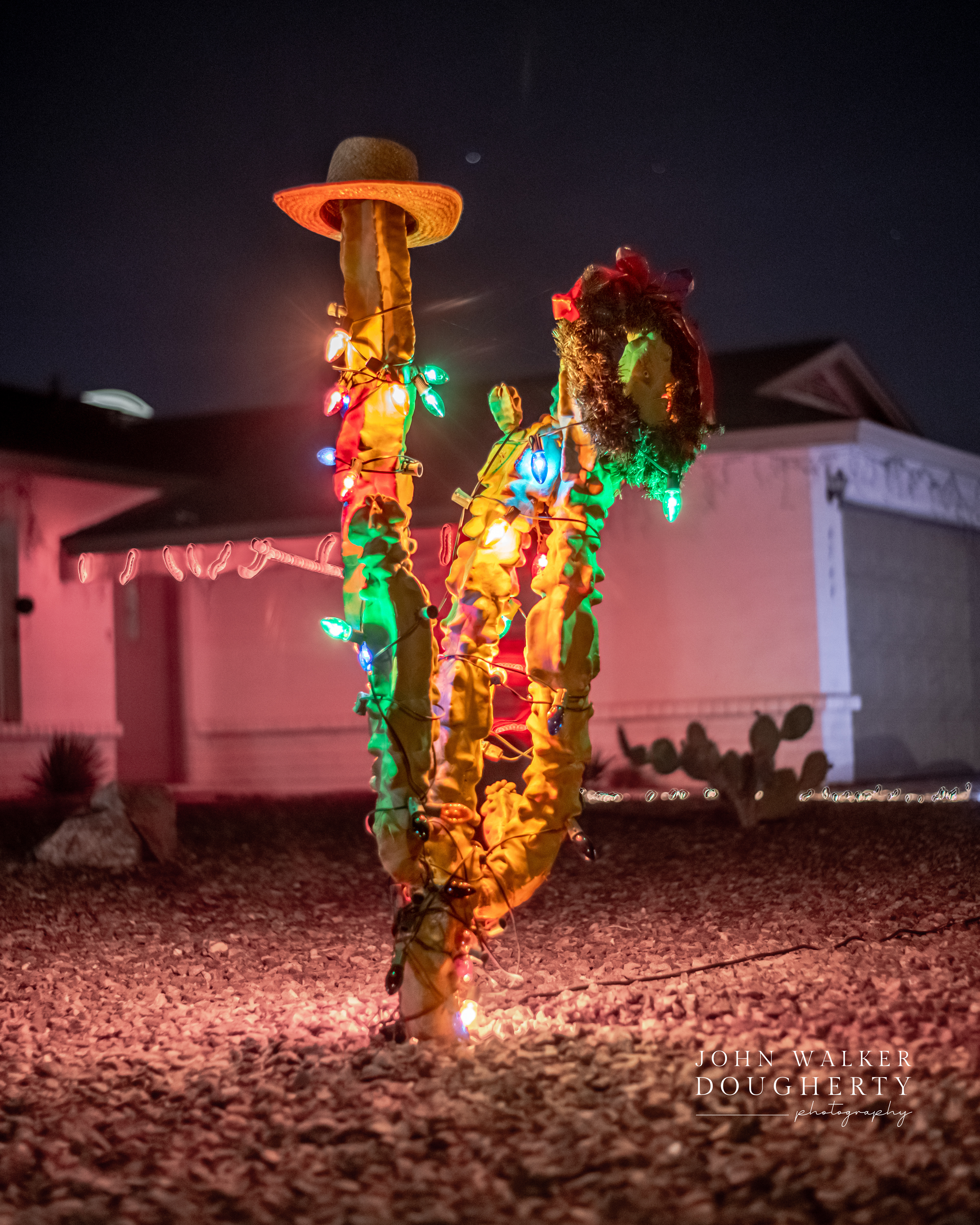 Shot On: Sony A7RIII