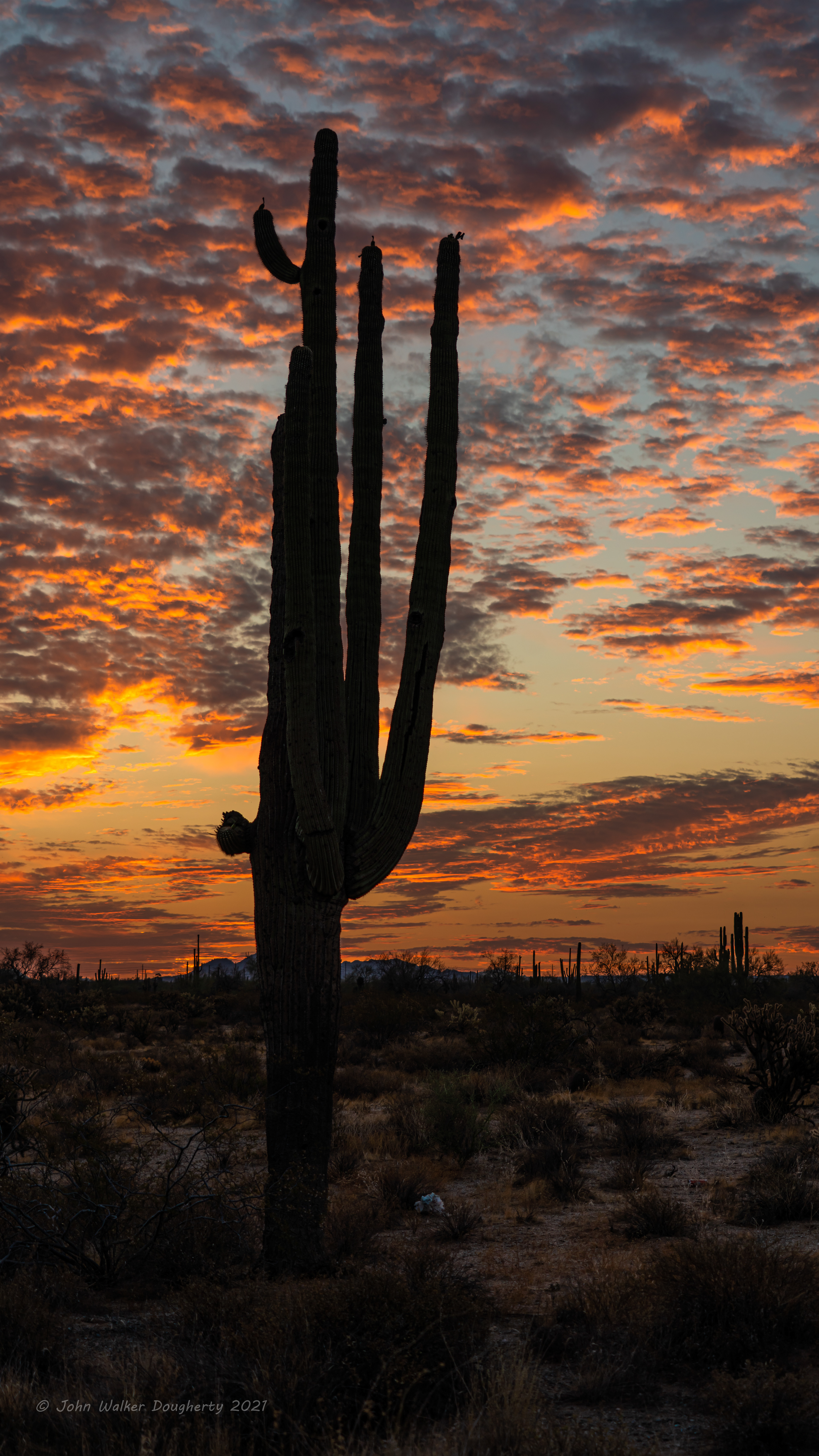 Shot on: Sony A7RIII