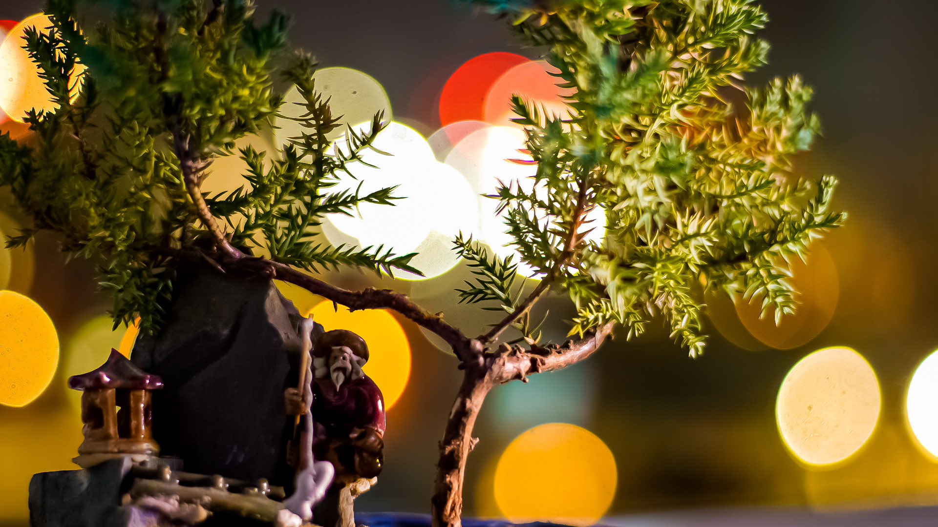 Shot on: Sony A7RIII