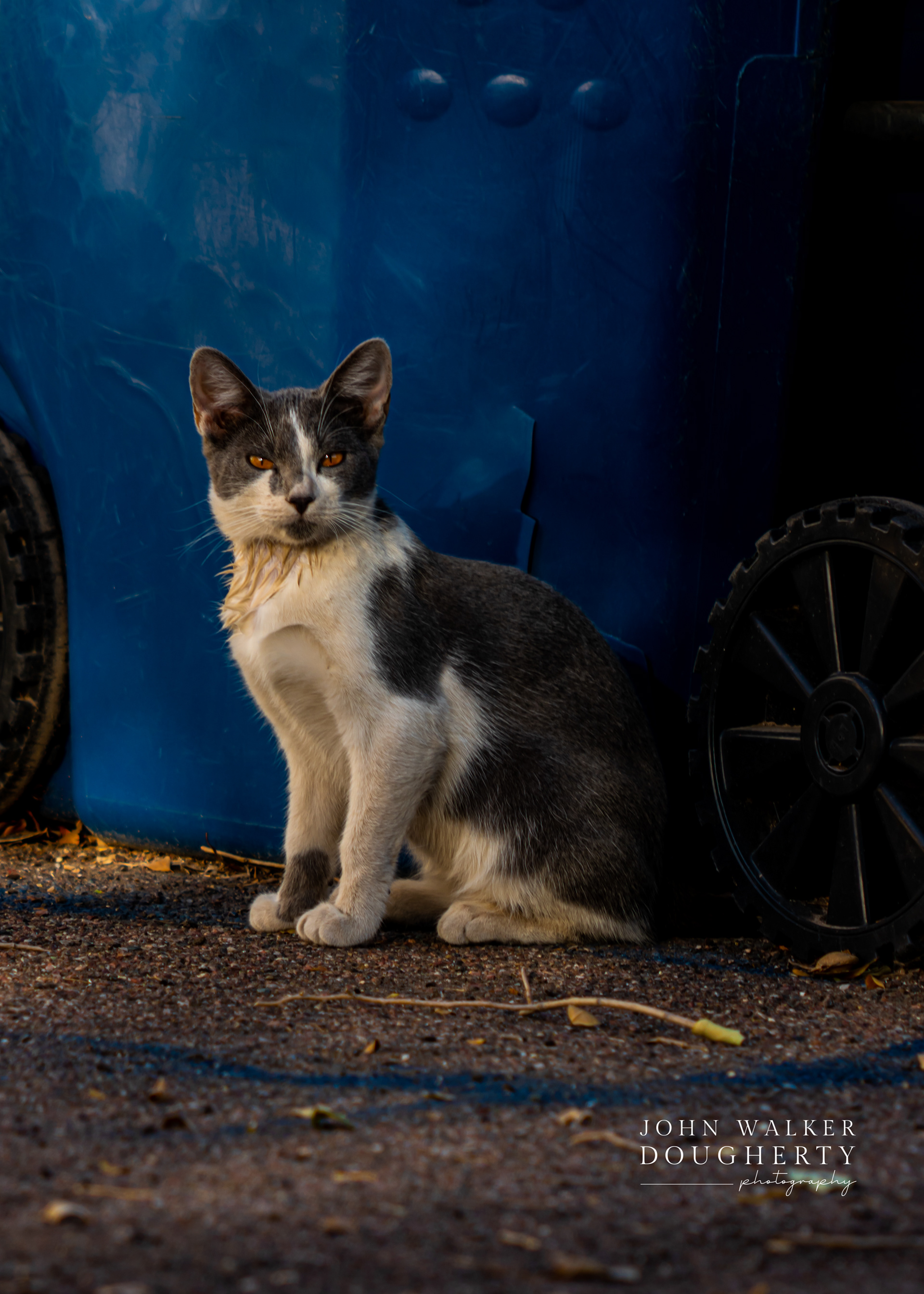 Shot On: Sony A7RIII