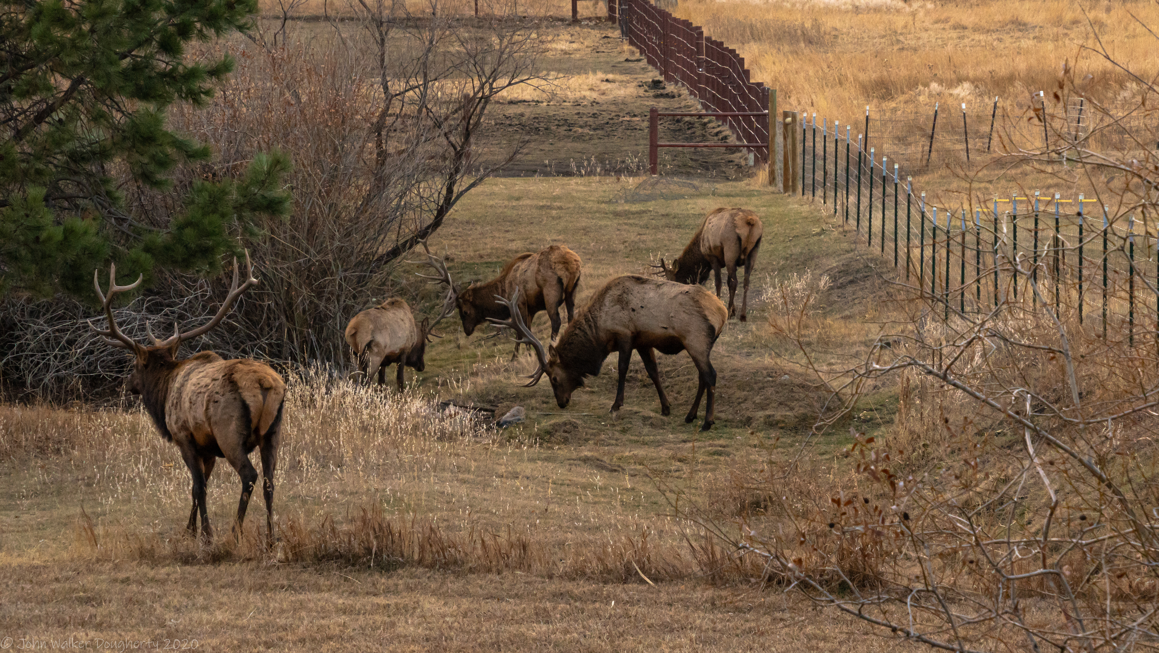 Shot on: Sony A7RIII