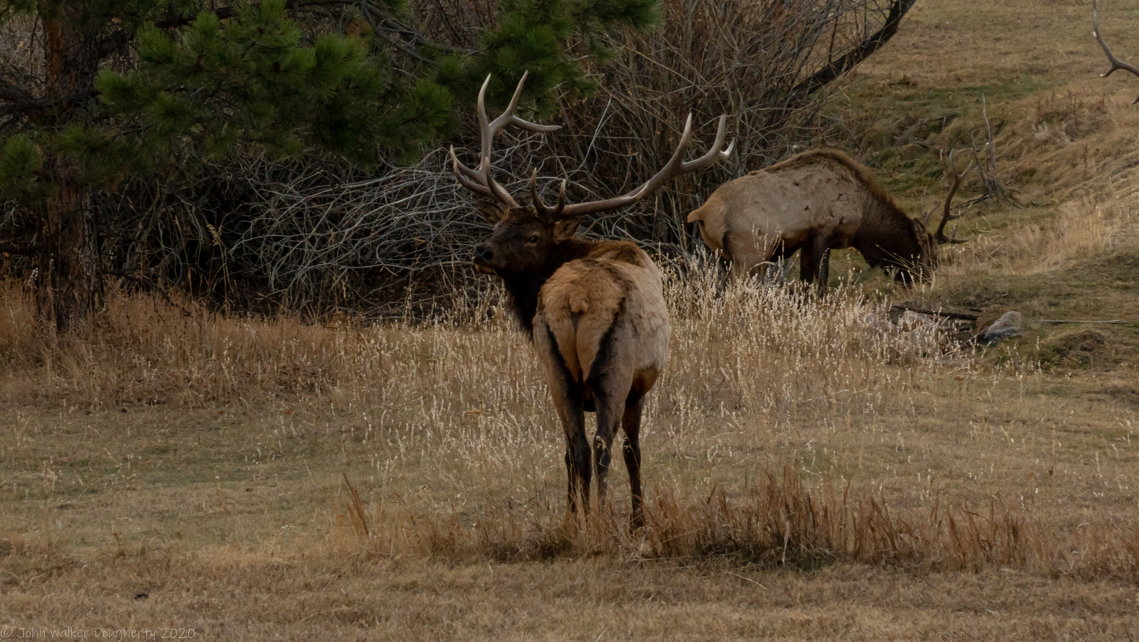 Shot on: Sony A7RIII