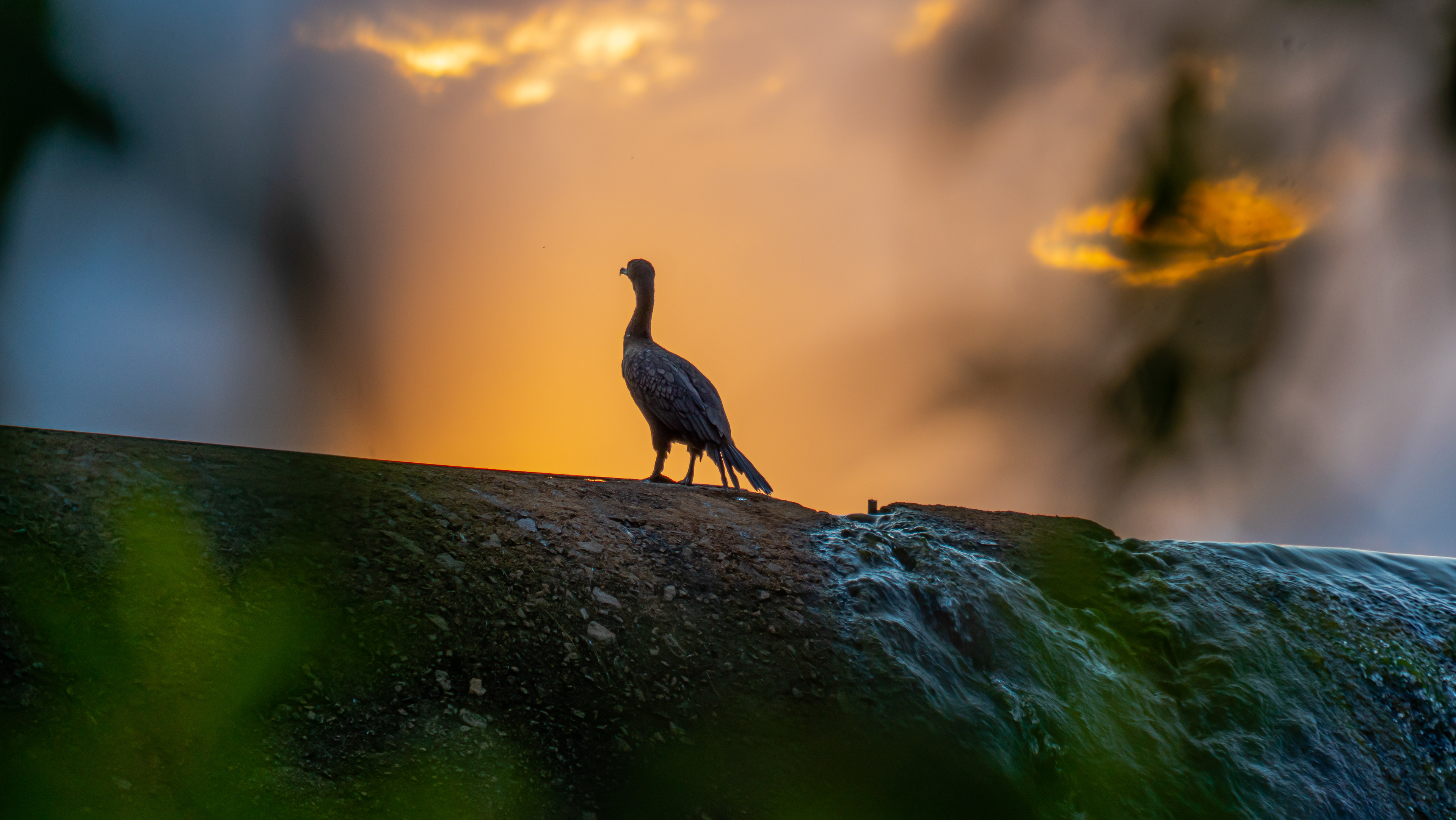 Shot on: Sony A7RIII