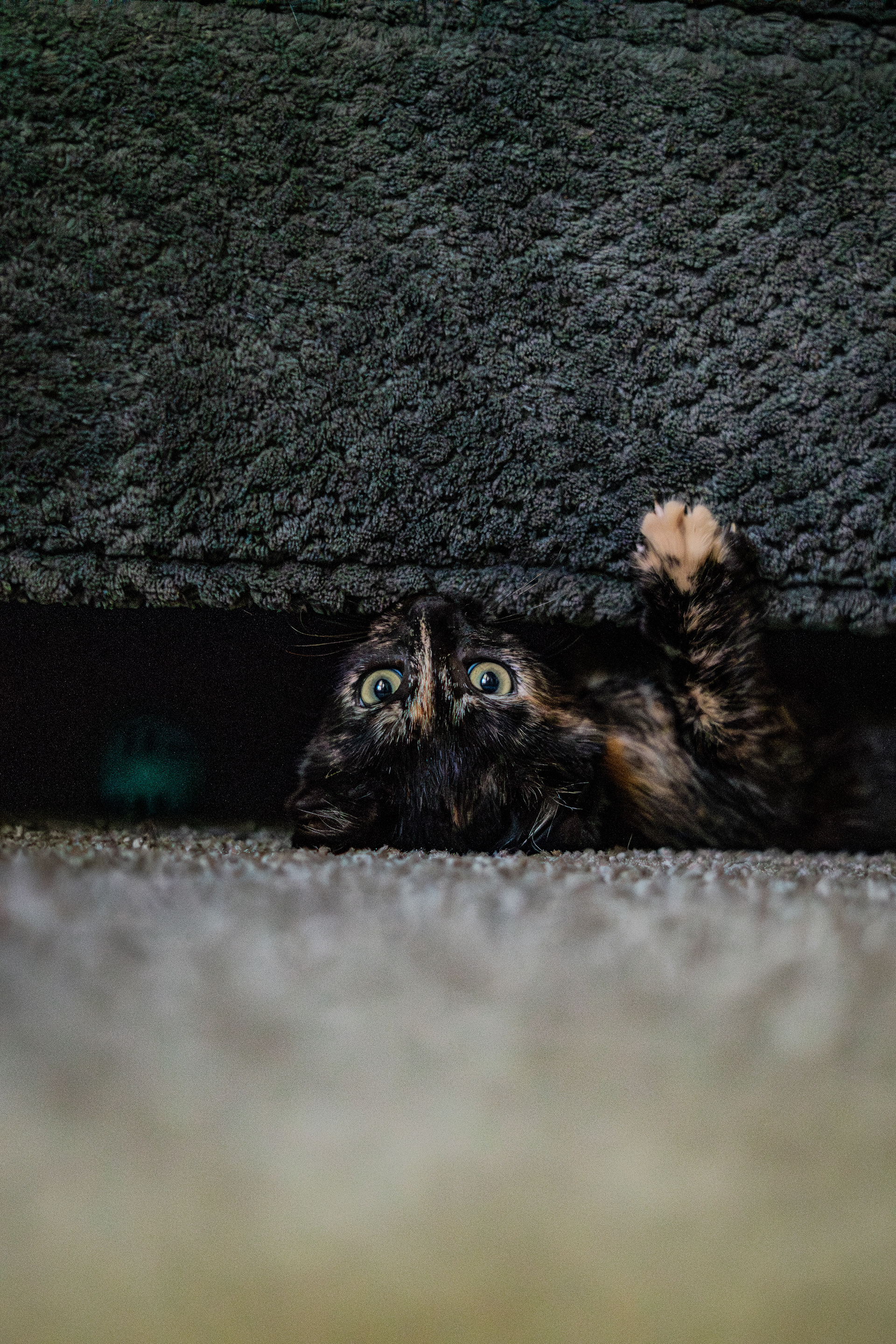Shot on: Sony A7RIII