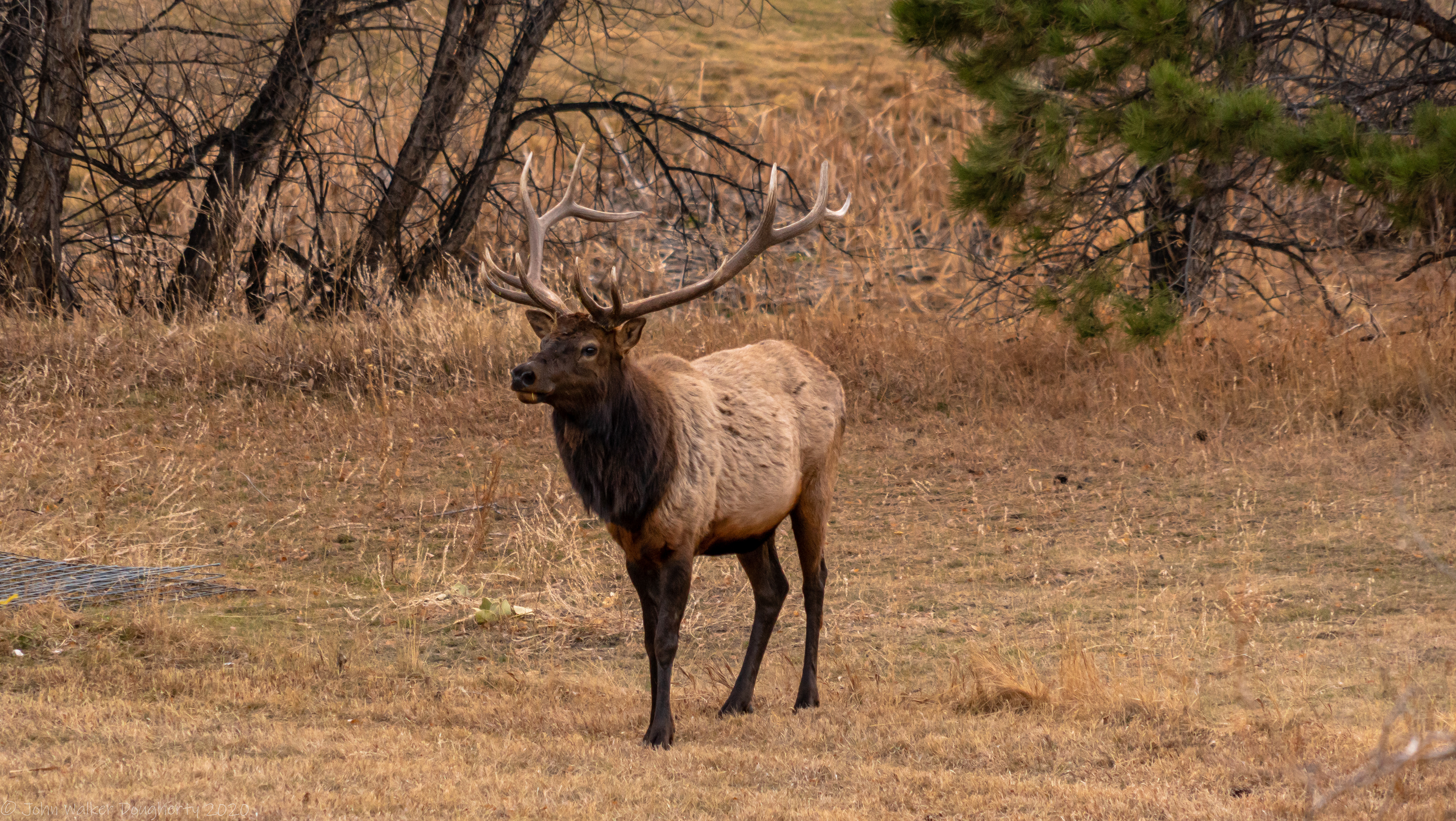 Shot on: Sony A7RIII