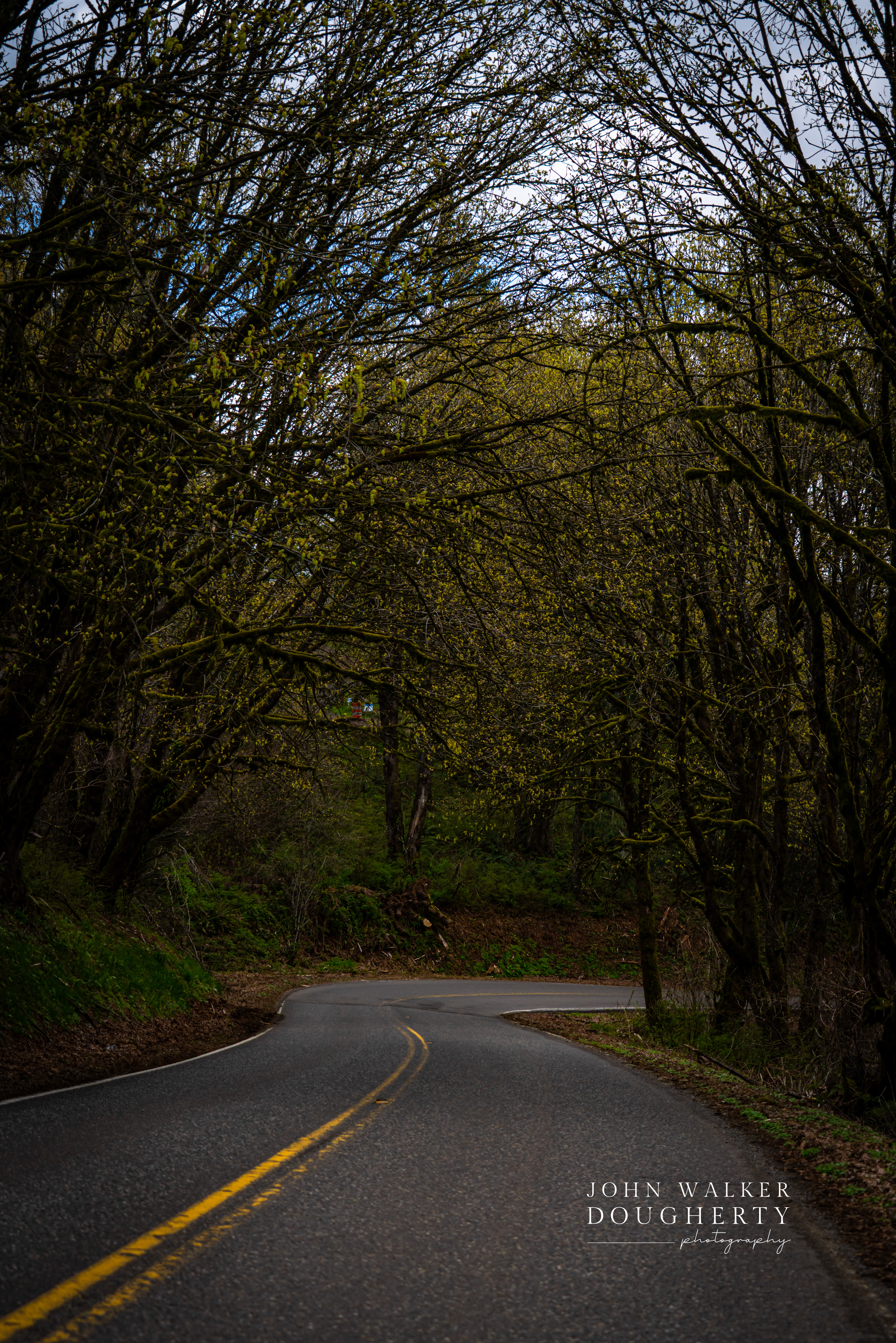 Shot On: Sony A7RIII